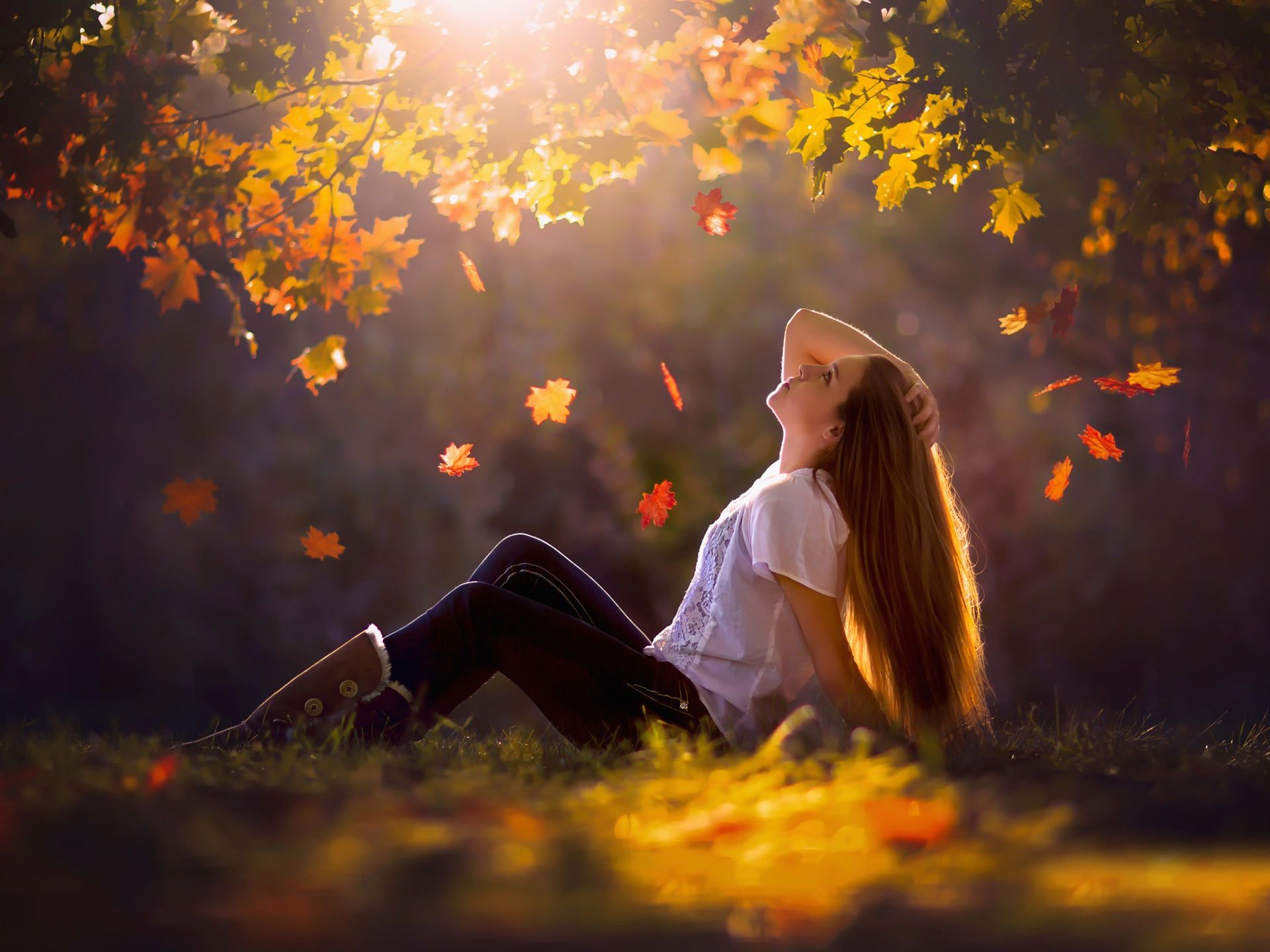 Wallpaper Girl sit at ground, autumn, leaves, trees, grass, sun rays 1920x1440 HD Picture, Image