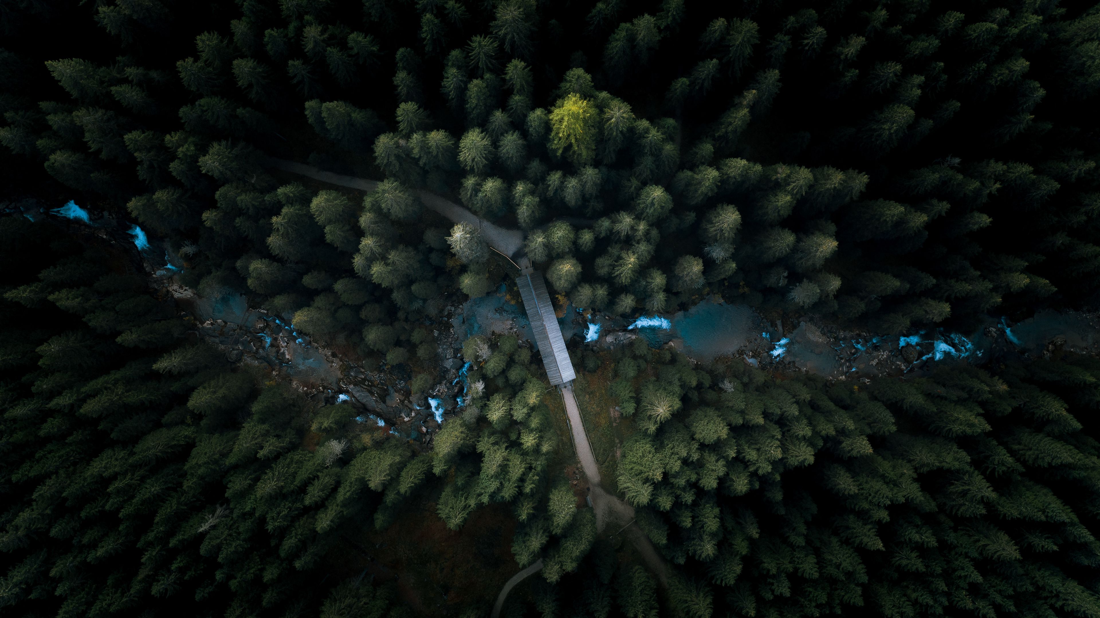 Aerial View Forest 4k Wallpaper, HD