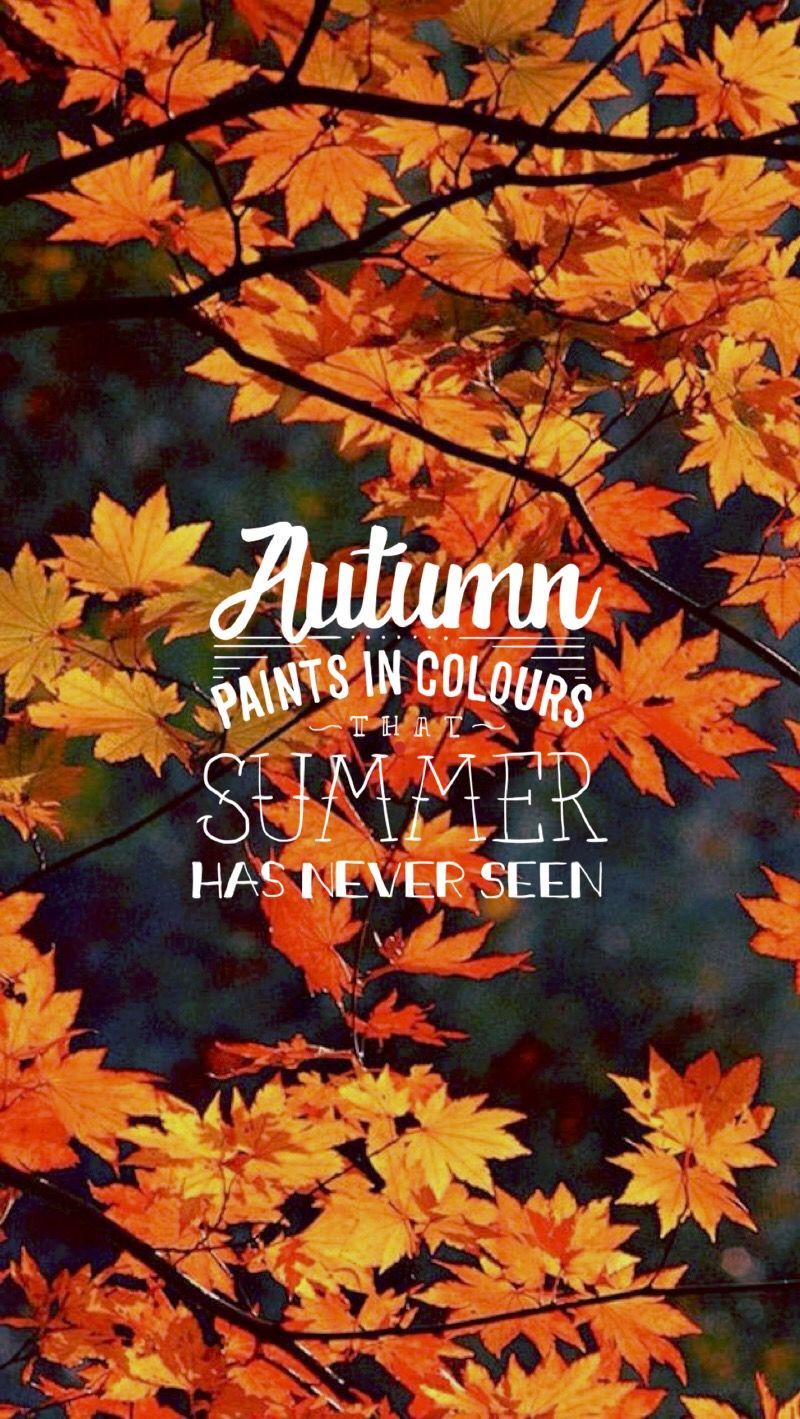 Autumn #quote #iphone #wallpaper #season. Autumn phone wallpaper, iPhone wallpaper fall, Fall wallpaper