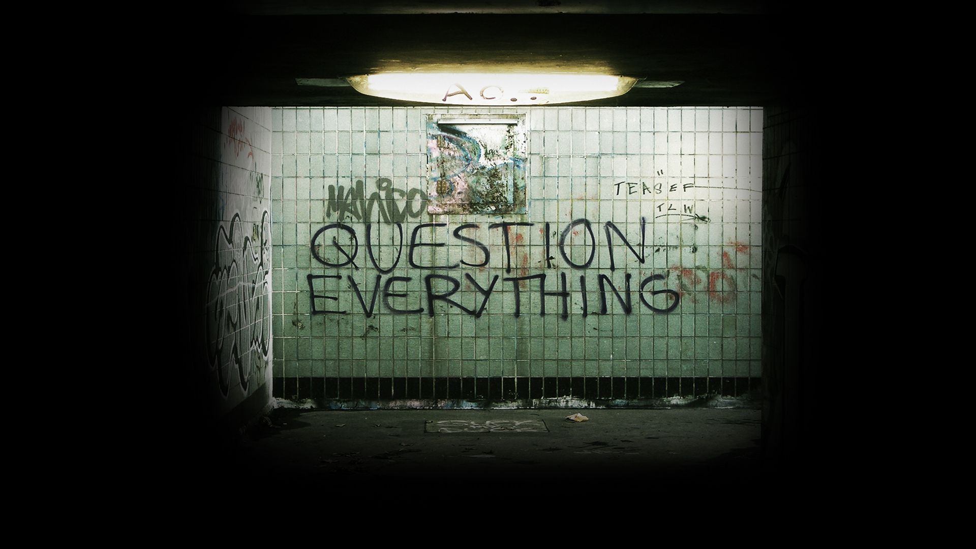 Question everything. This or that questions, Street art, Banksy