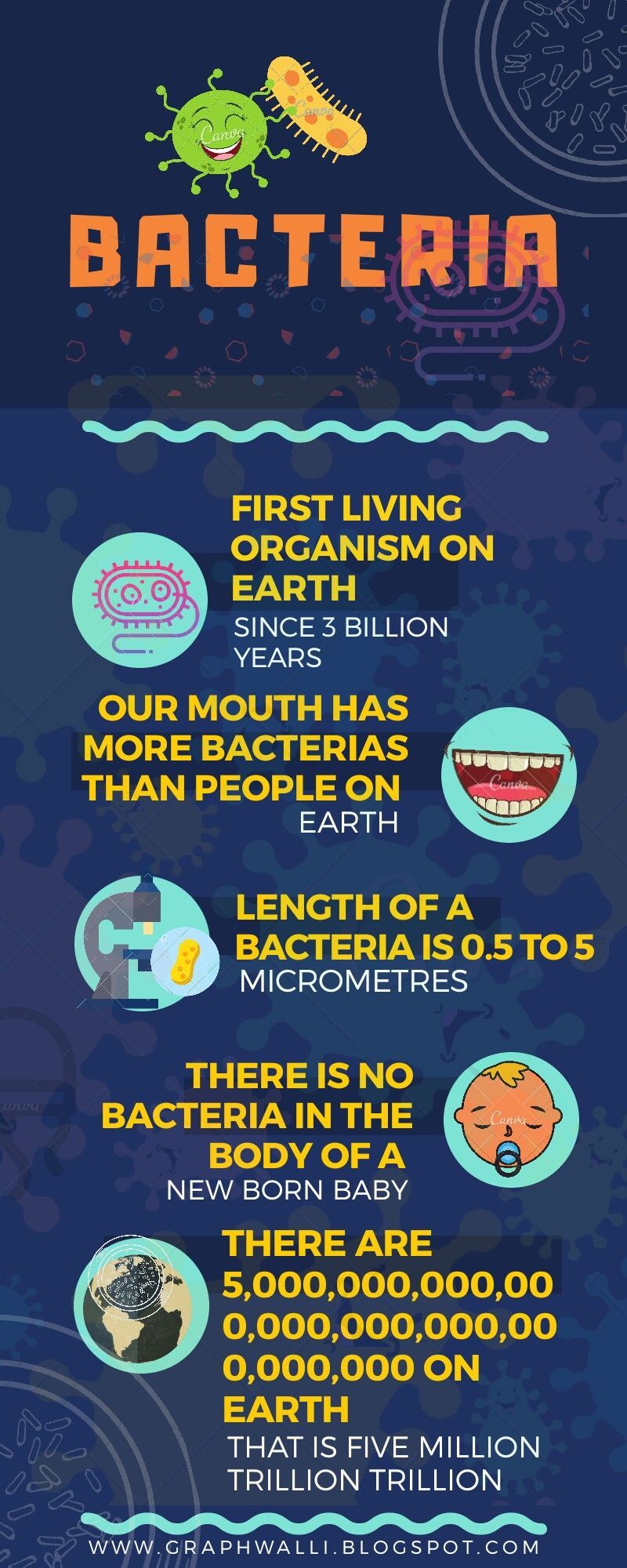 BACTERIA FACTS to know. Fun facts, Infographic poster, Bacteria