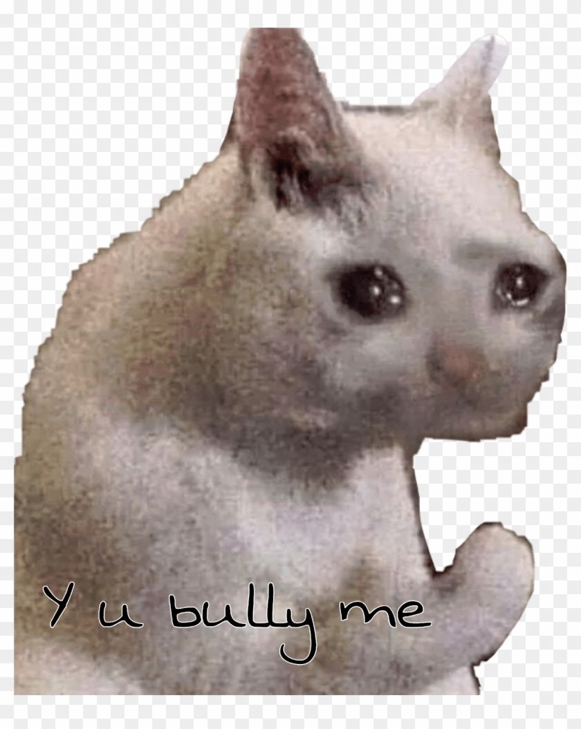 Sad Cat Meme Icon. It's Meme Cats
