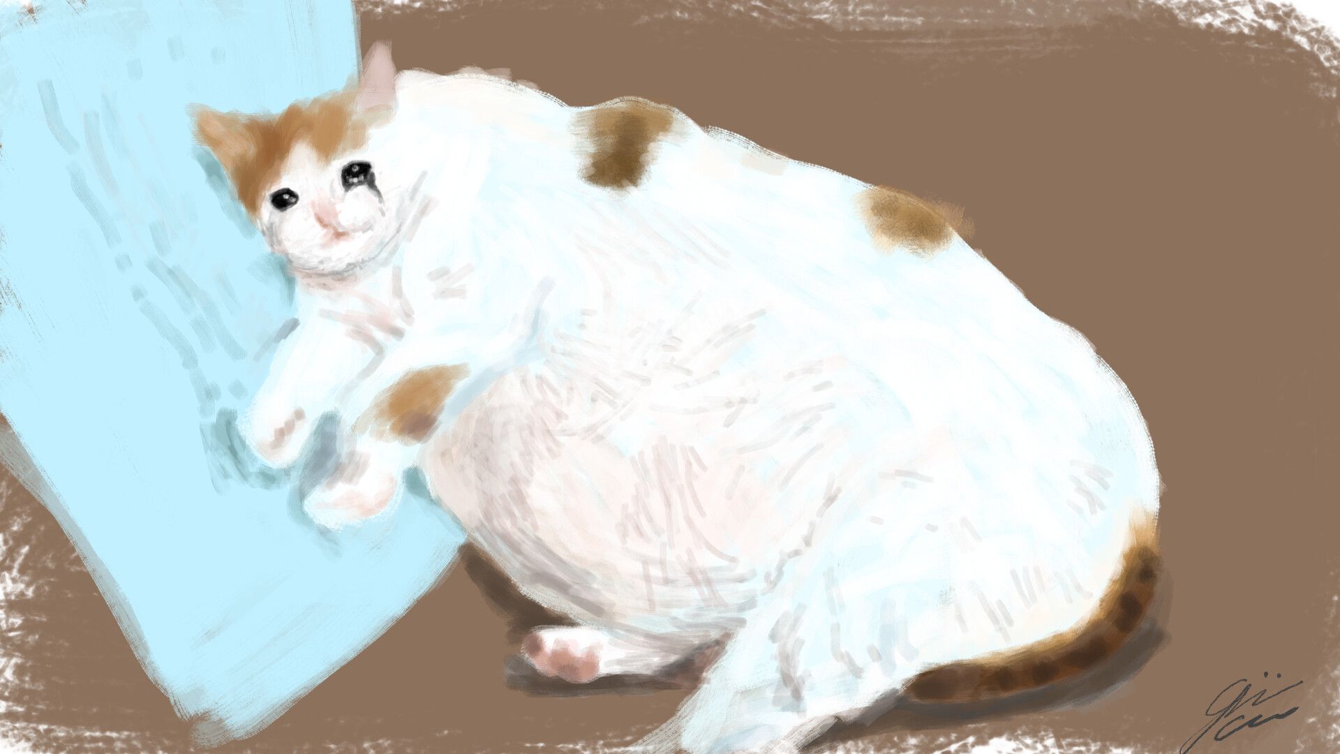 Crying Cat Meme Wallpapers - Wallpaper Cave