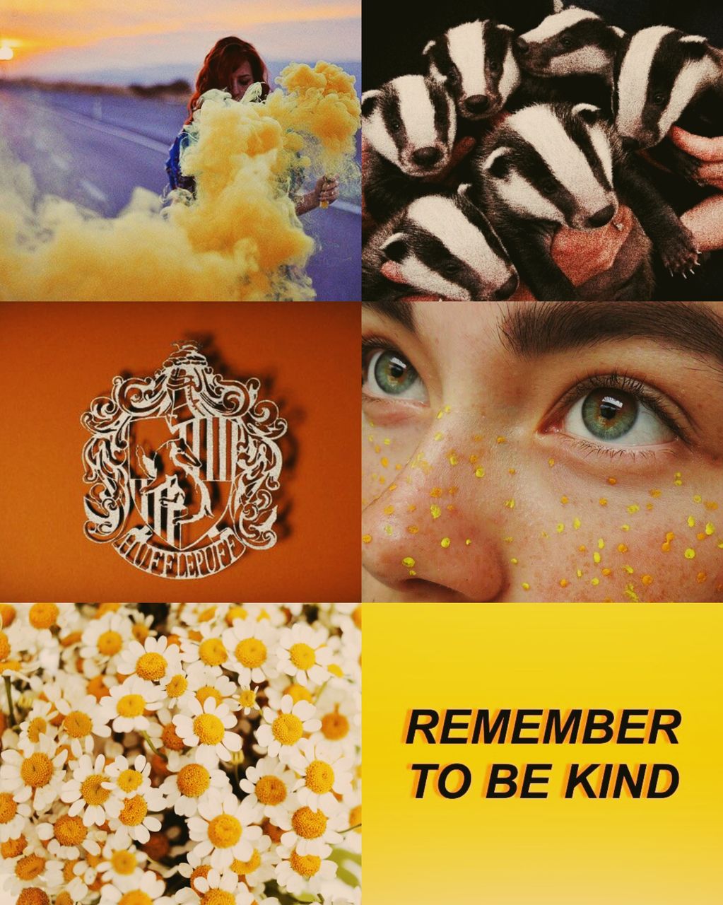 badger, hufflepuff, background and pride