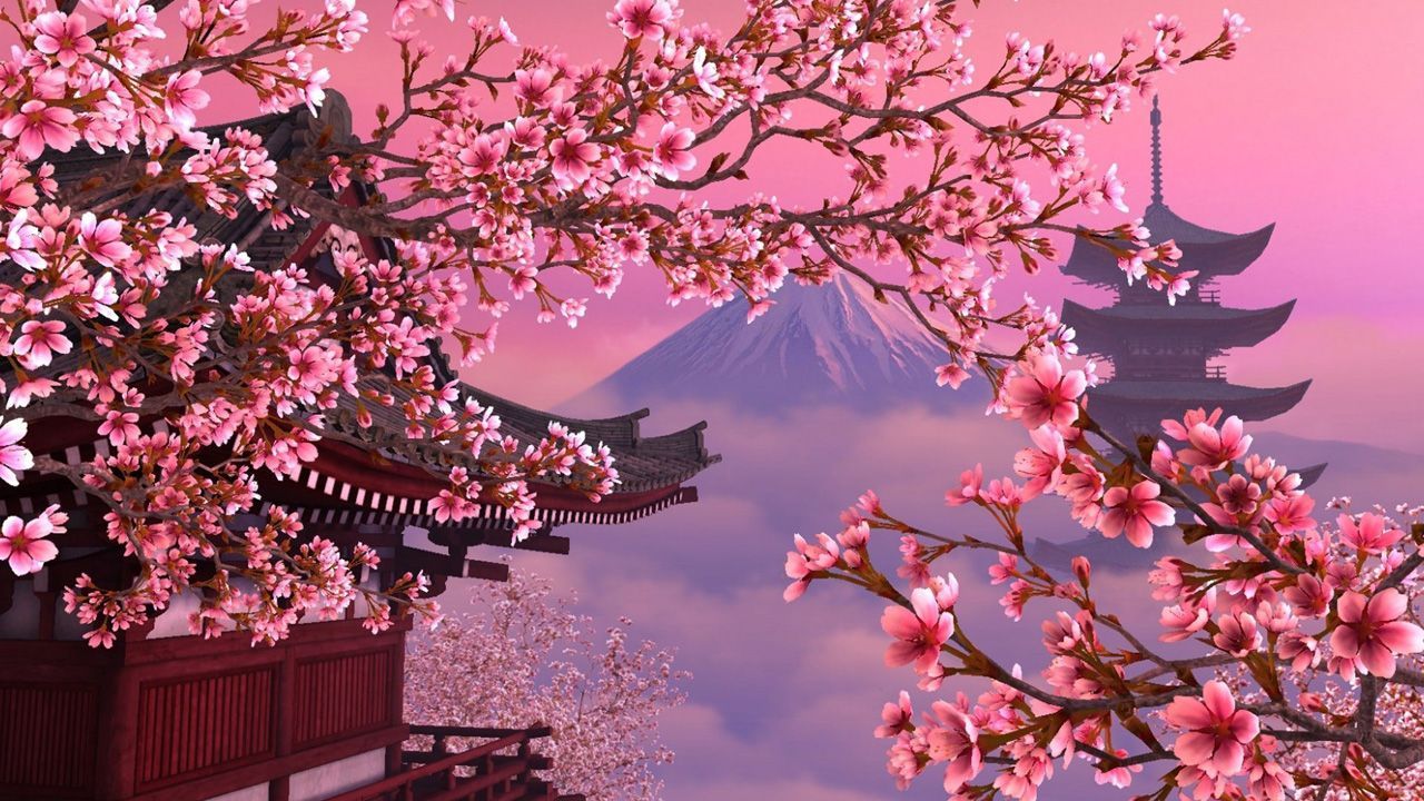 Pink cherry blossoms Wallpaper HD, HD Desktop Wallpaper. Scenery wallpaper, Cherry blossom wallpaper, Anime scenery wallpaper