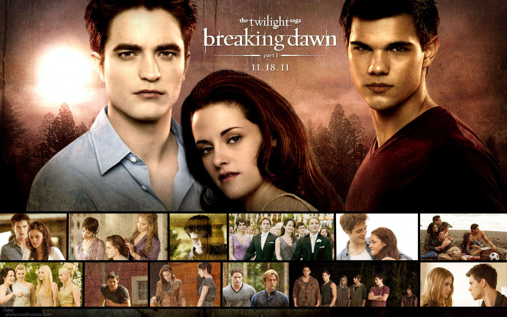 The Twilight Saga: Breaking Dawn Part 1 Desktop Wallpaper
