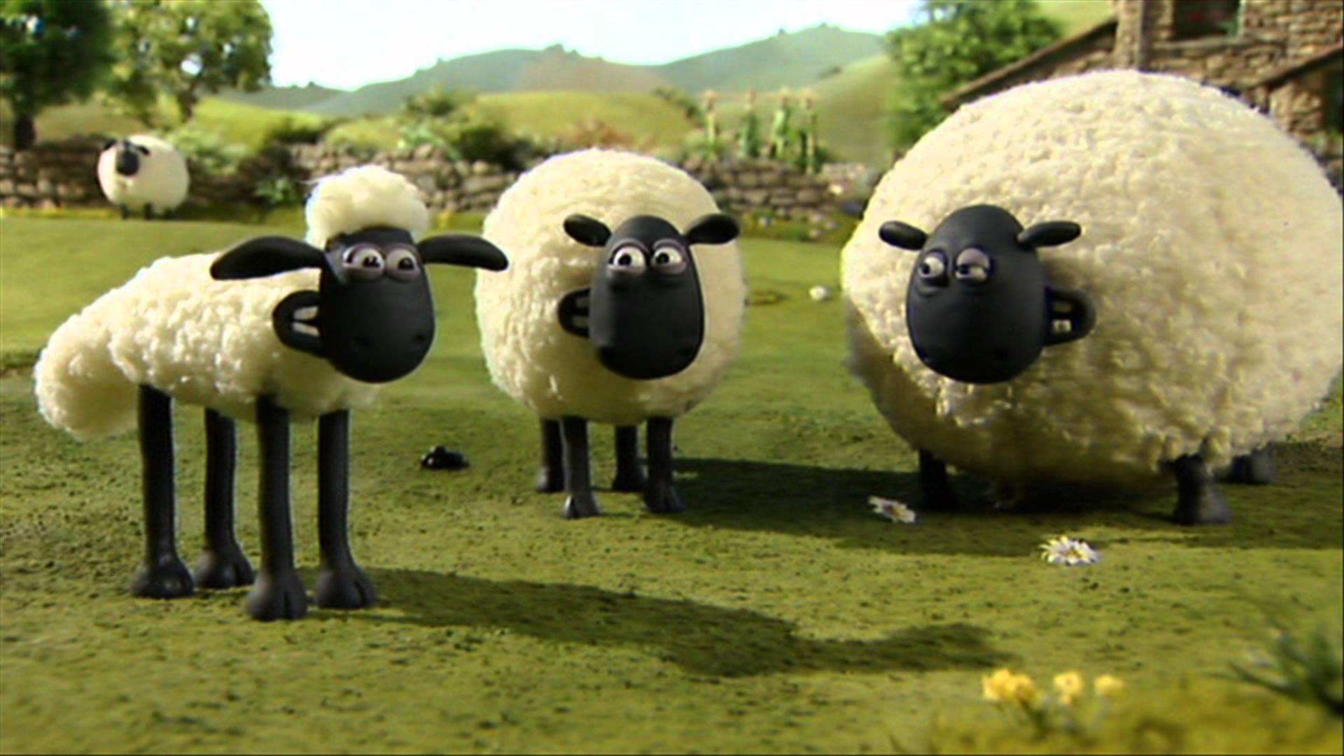 Shaun The Sheep HD Wallpaper for desktop download