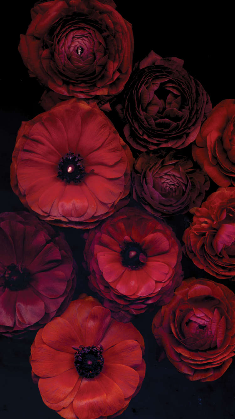 CandyShell Inked Wallpaper for iPhone 6s and iPhone 6. Match Your Case & Wallpaper