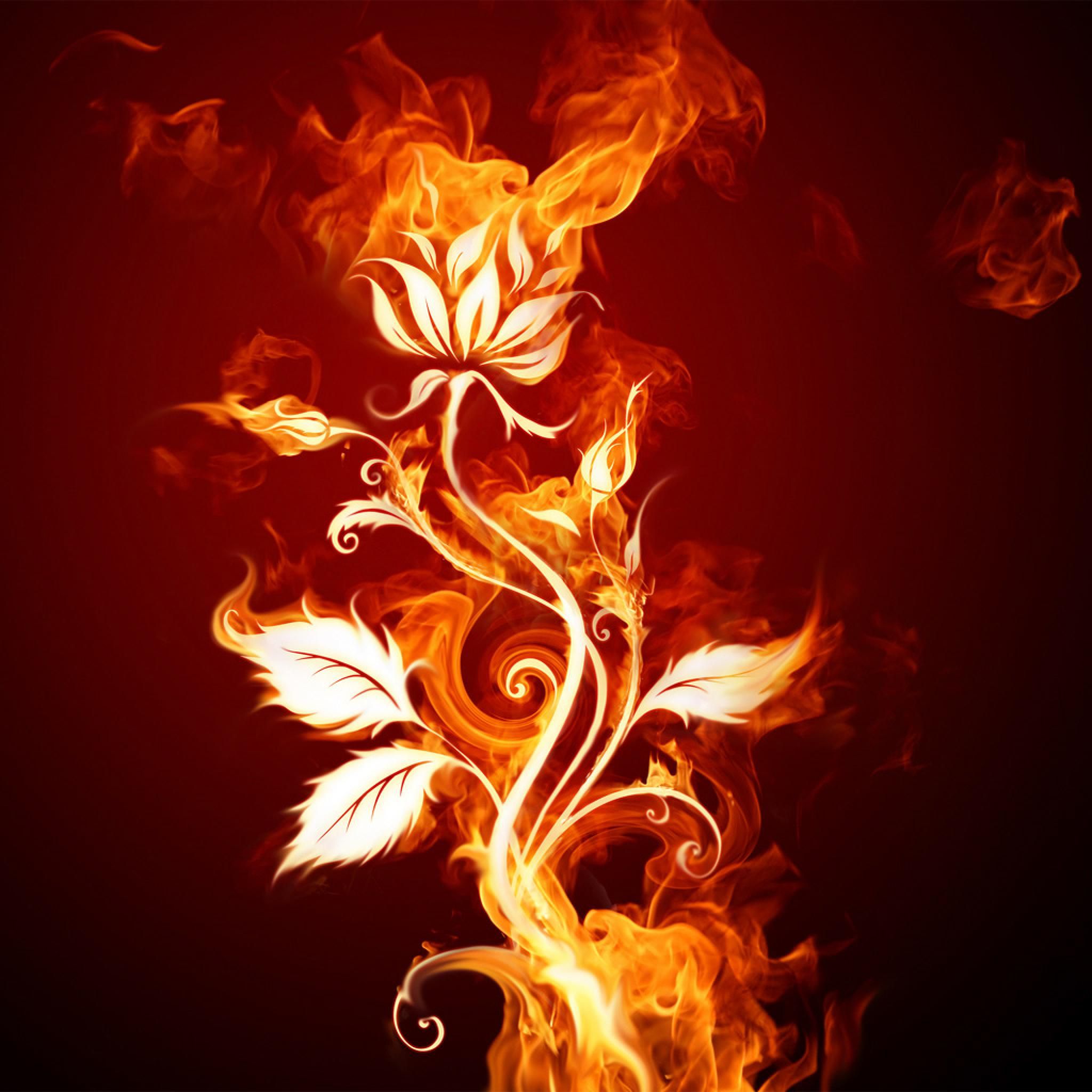 Vector Fire Rose Flower iPhone HD Wallpaper Free