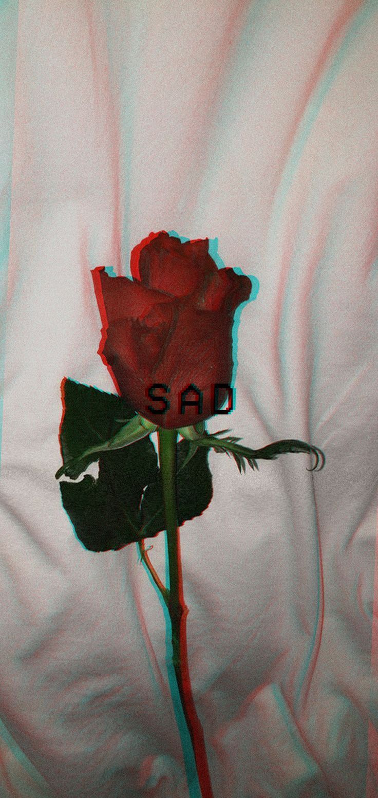Depressed Sad Rose Wallpaper