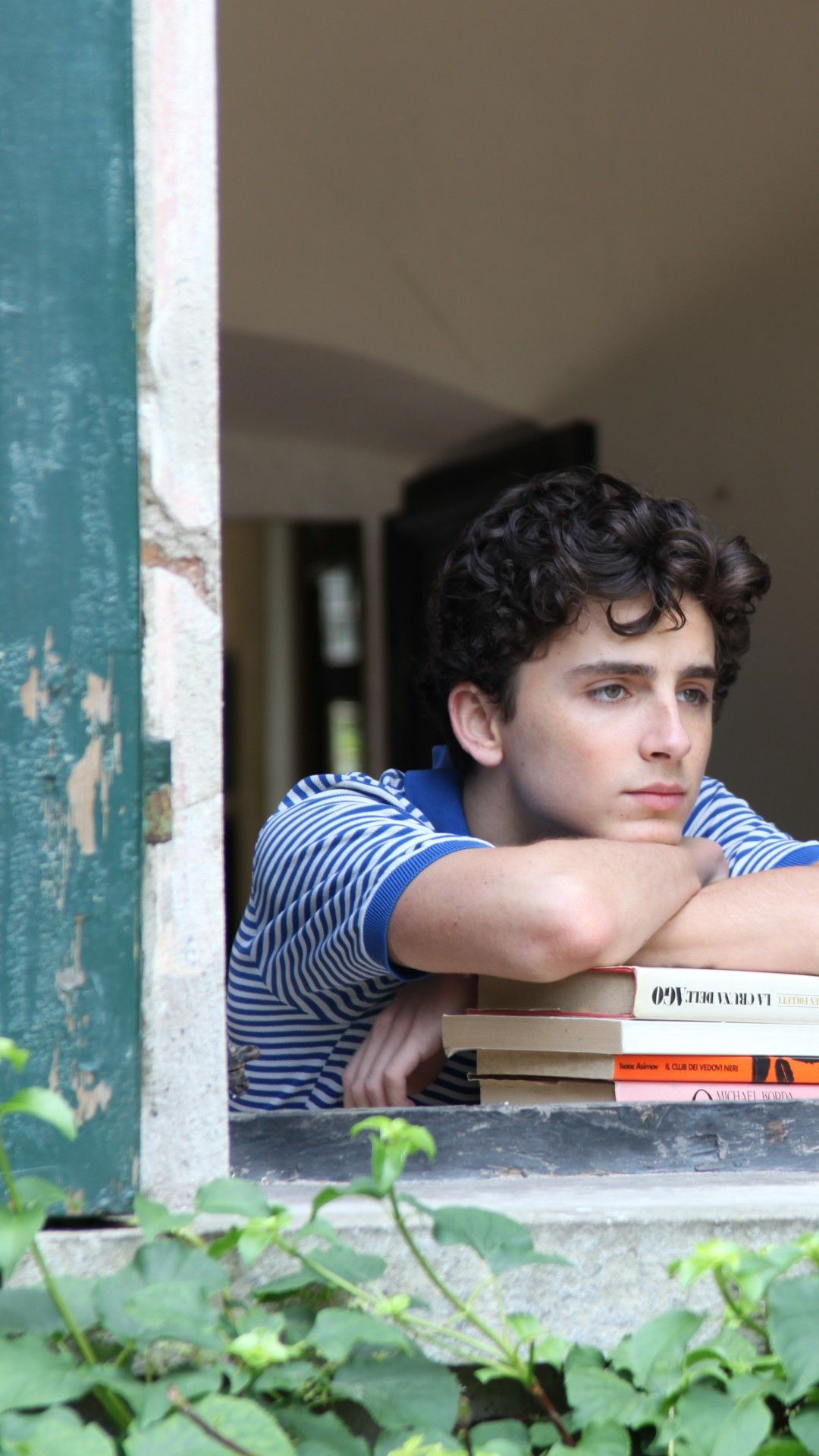 Wallpaper Call Me by Your Name, Timothee Chalamet, 5k, Movies