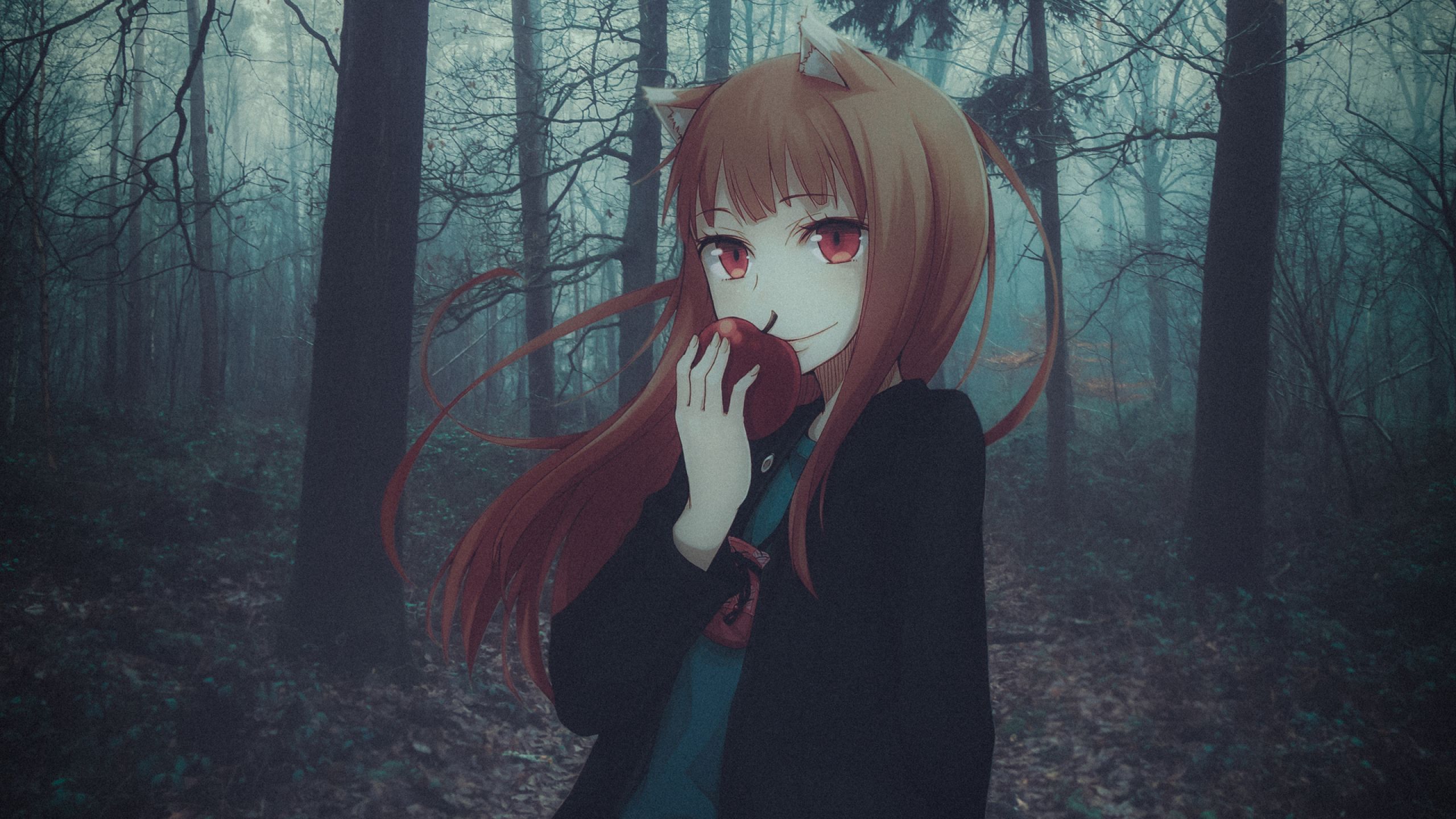 Holo Spice and Wolf 1440P Resolution Wallpaper, HD Anime 4K Wallpaper, Image, Photo and Background