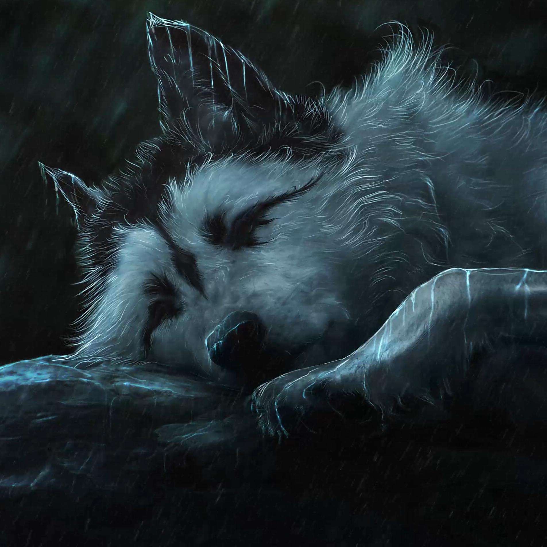 Furry fandom Drawing Art Anime Wolf Furry mammal carnivoran furry  Fandom png  PNGWing
