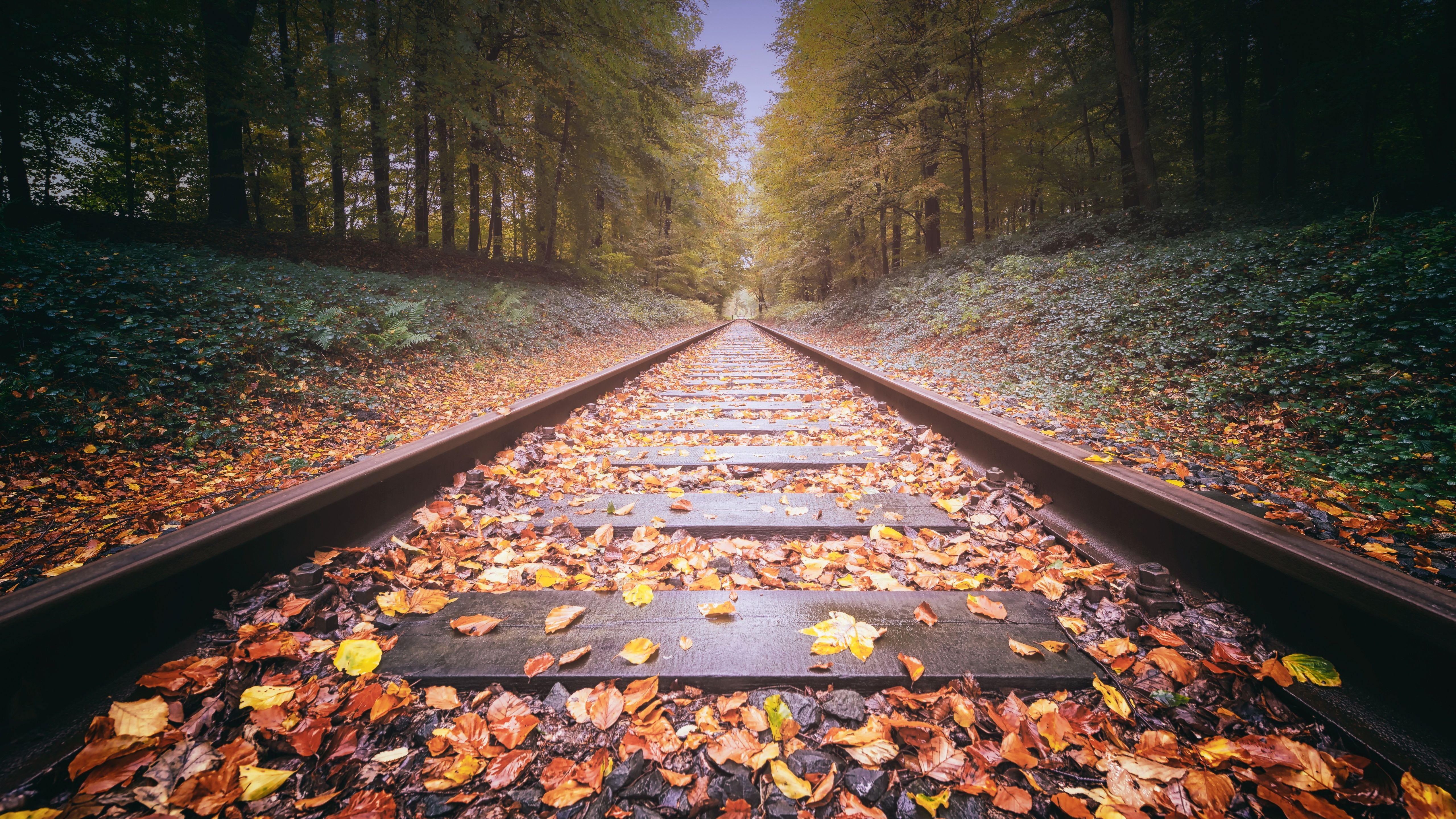 Railway Track 5k HD 4k Wallpaper, Image, Background, Photo and Picture