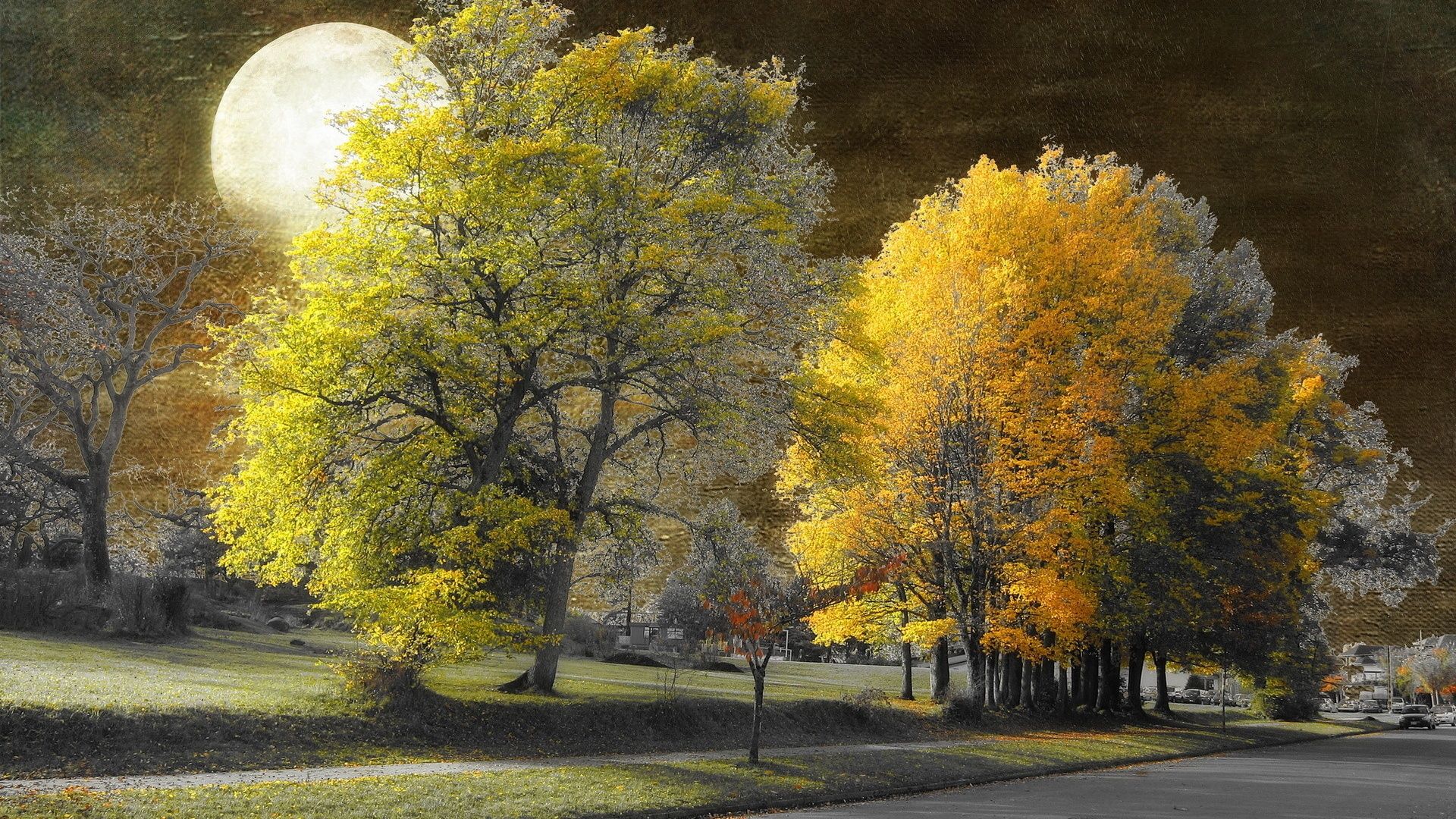 Autumn Trees Full Moon City desktop PC and Mac wallpaper