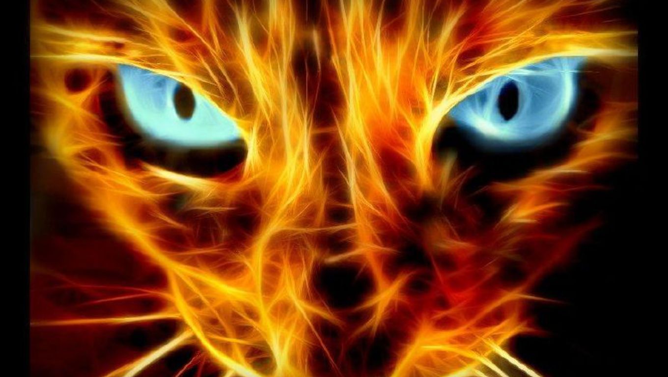 Halloween Cat HD Wallpaper. Cats, Fire art, Cool background