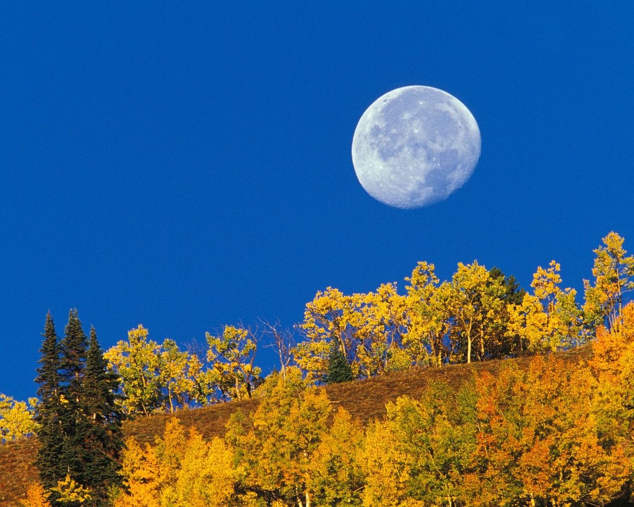 Moon Autumn Wallpapers - Wallpaper Cave