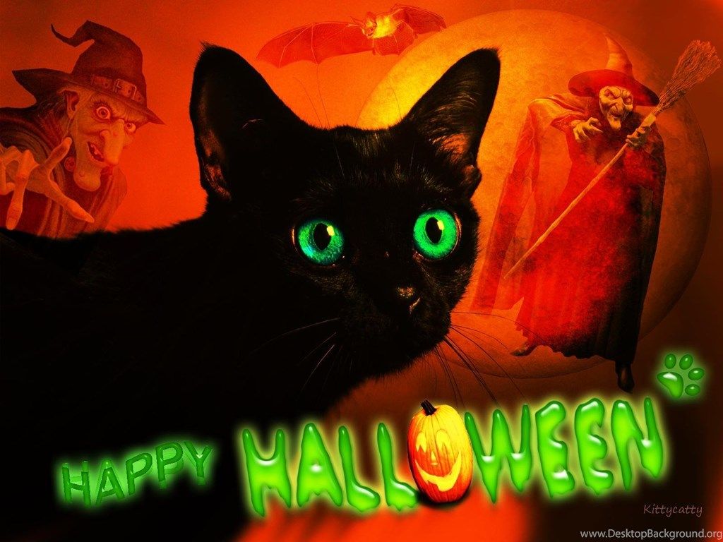 Happy Halloween Cat ??? ? HD Desktop Wallpaper, Widescreen, High. Desktop Background