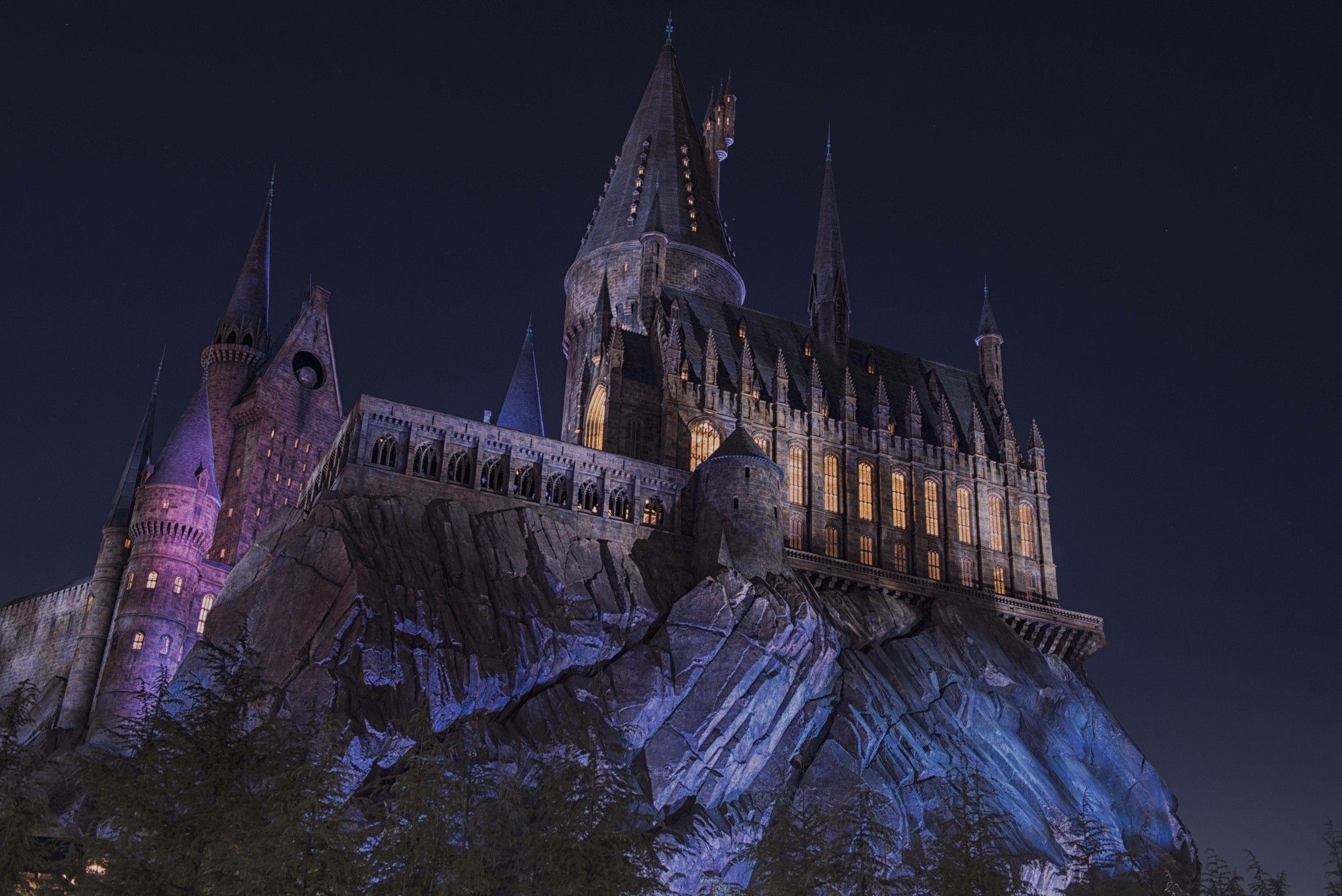 landscape, Castle, Hogwarts, Night, Lights, Trees, Dark, Magic Wallpaper HD / Desktop and Mobile Background