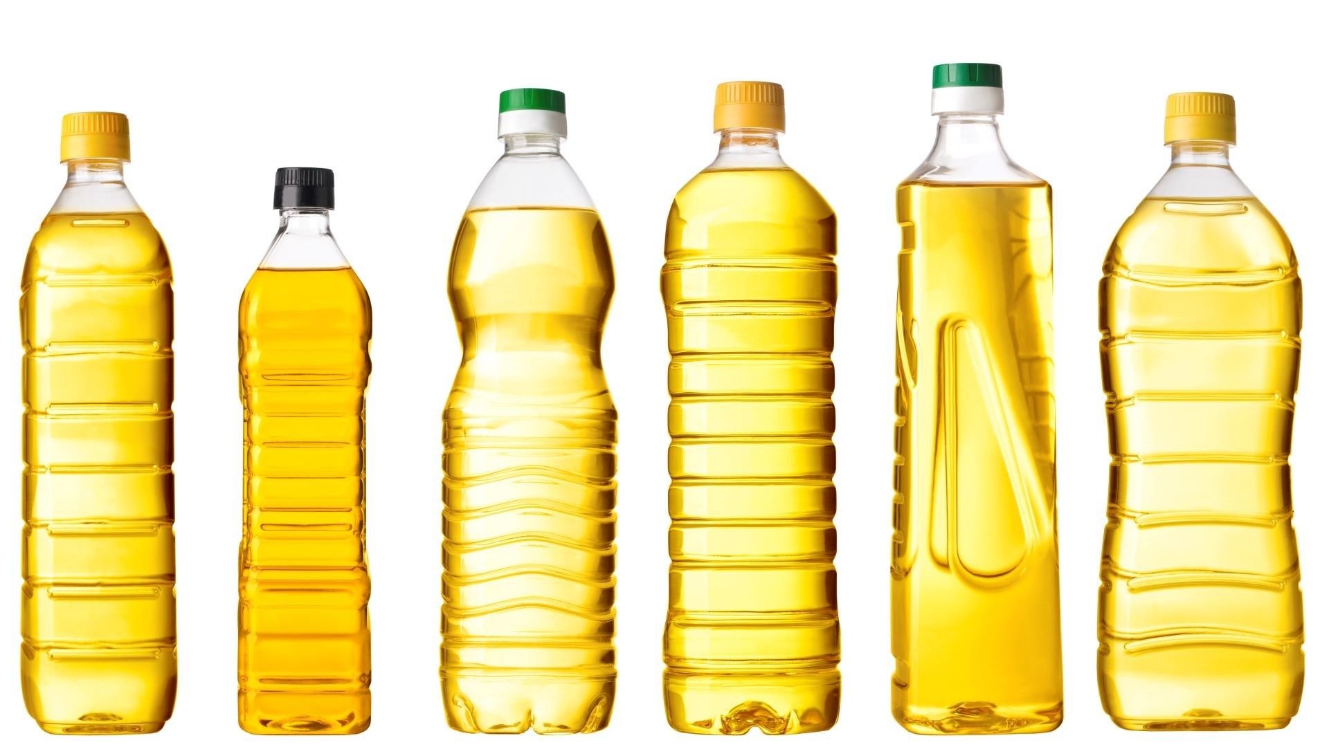 Cooking oil can now be recycled in Palmerston North