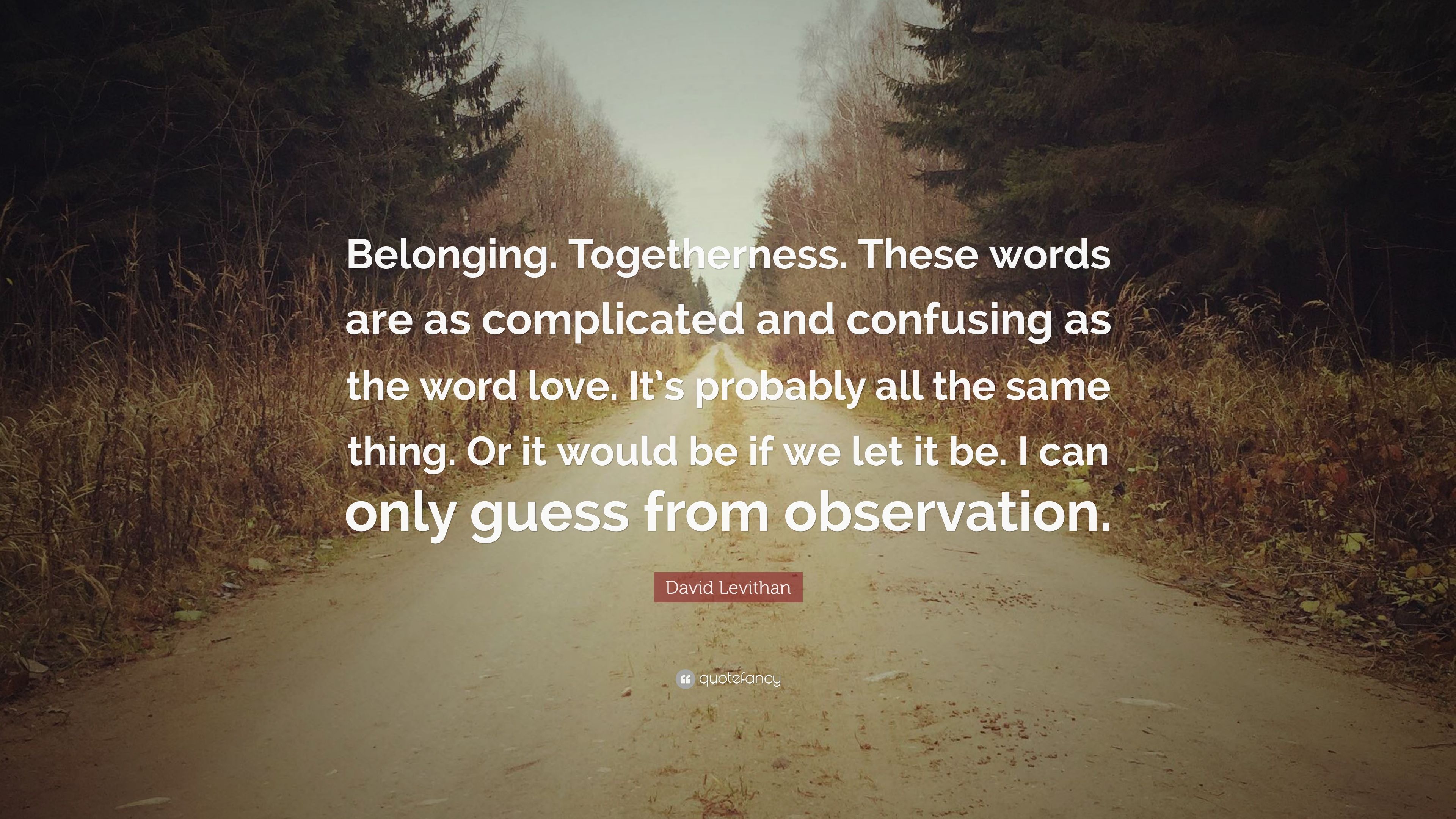 David Levithan Quote: “Belonging. Togetherness. These words are as complicated and confusing as the word love. It's probably all the same thing.” (7 wallpaper)