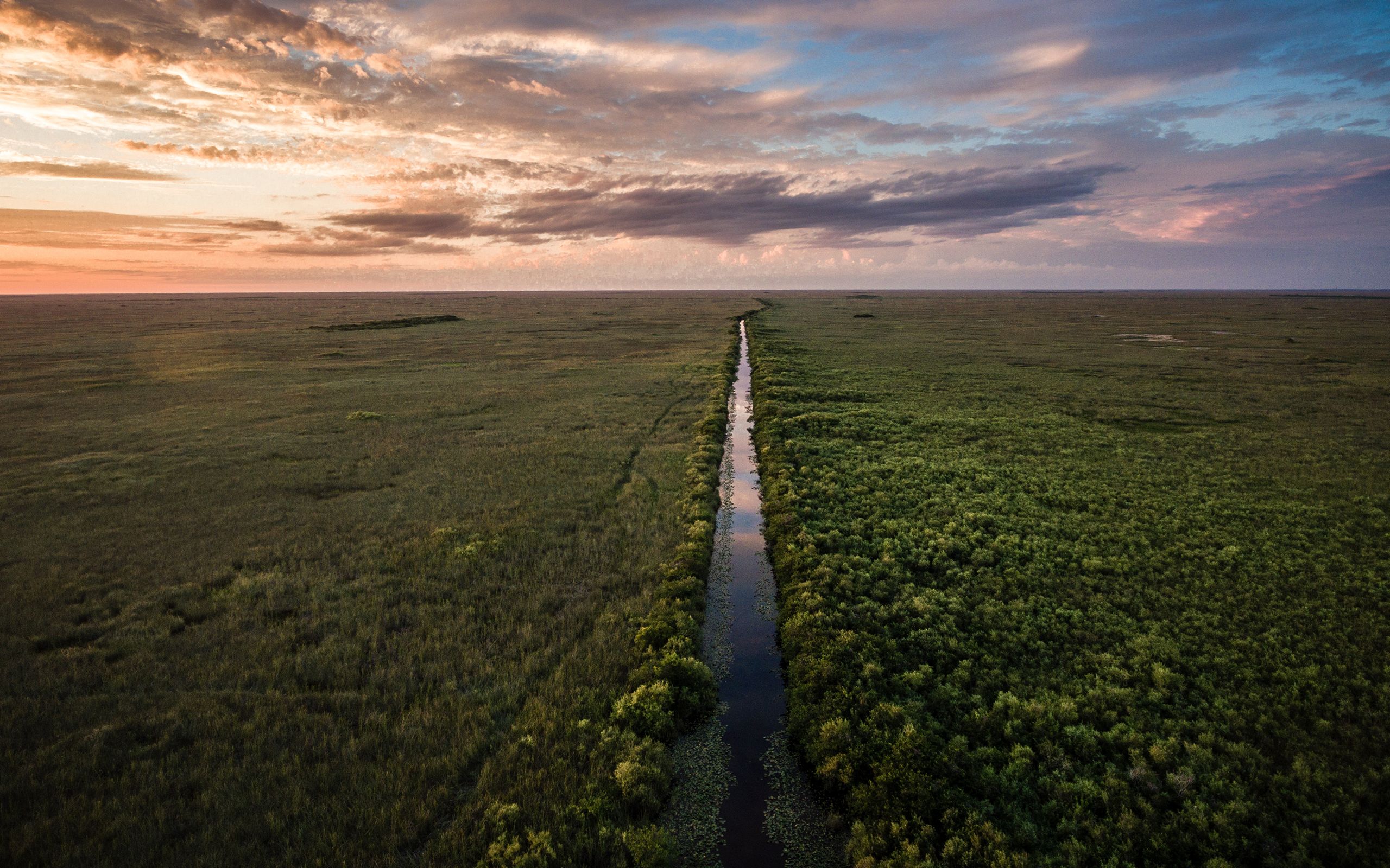 The Everglades Wallpapers - Wallpaper Cave