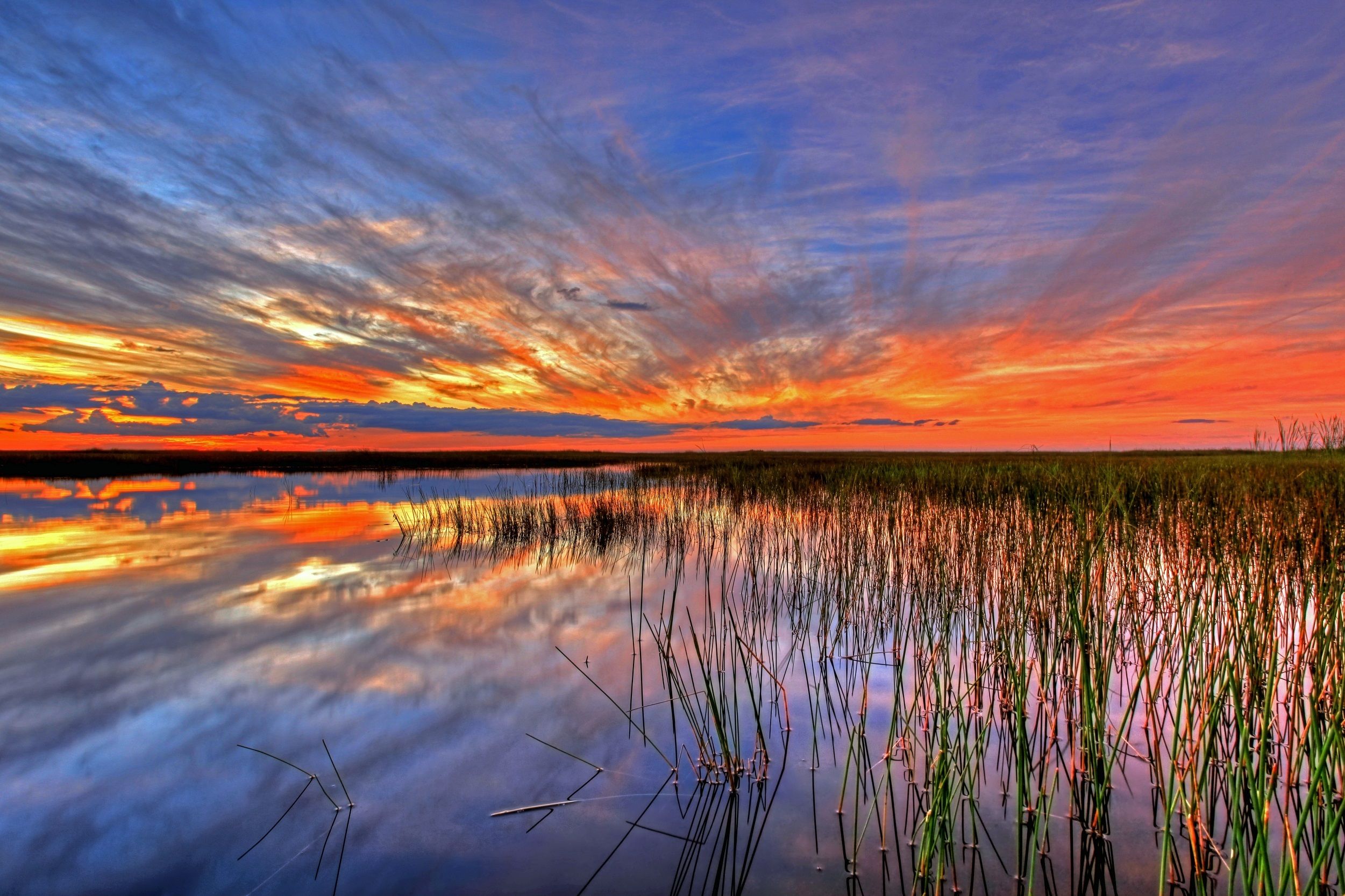 The Everglades Wallpapers - Wallpaper Cave