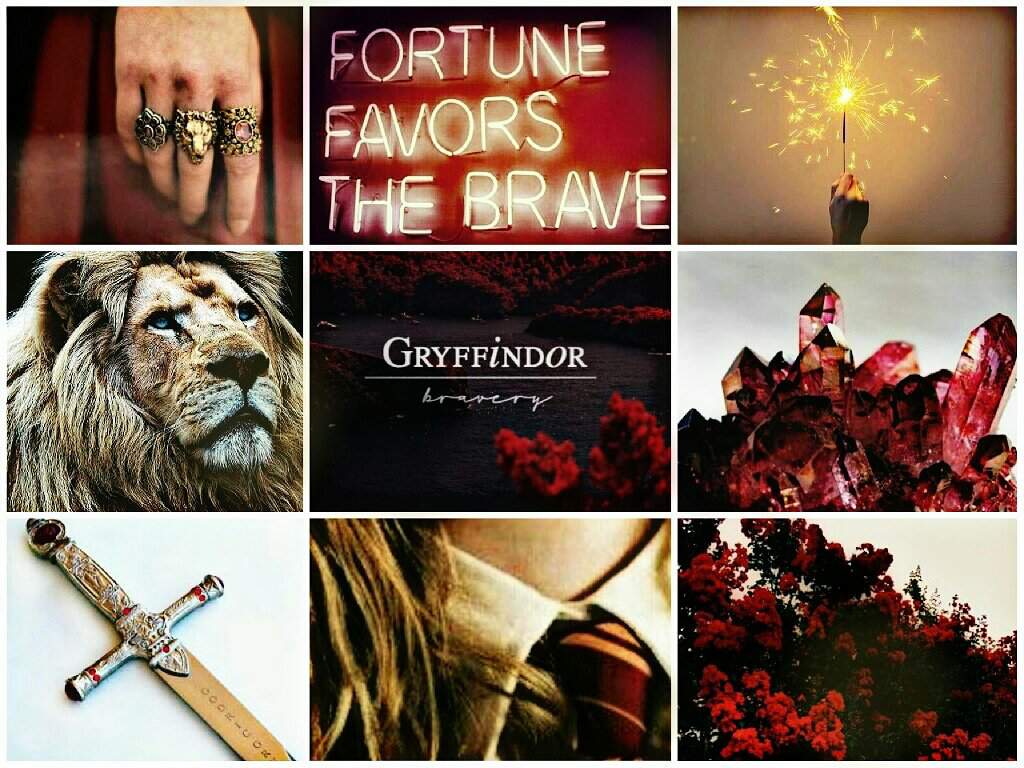 Gryffindor aesthetic mood board. Harry Potter Amino