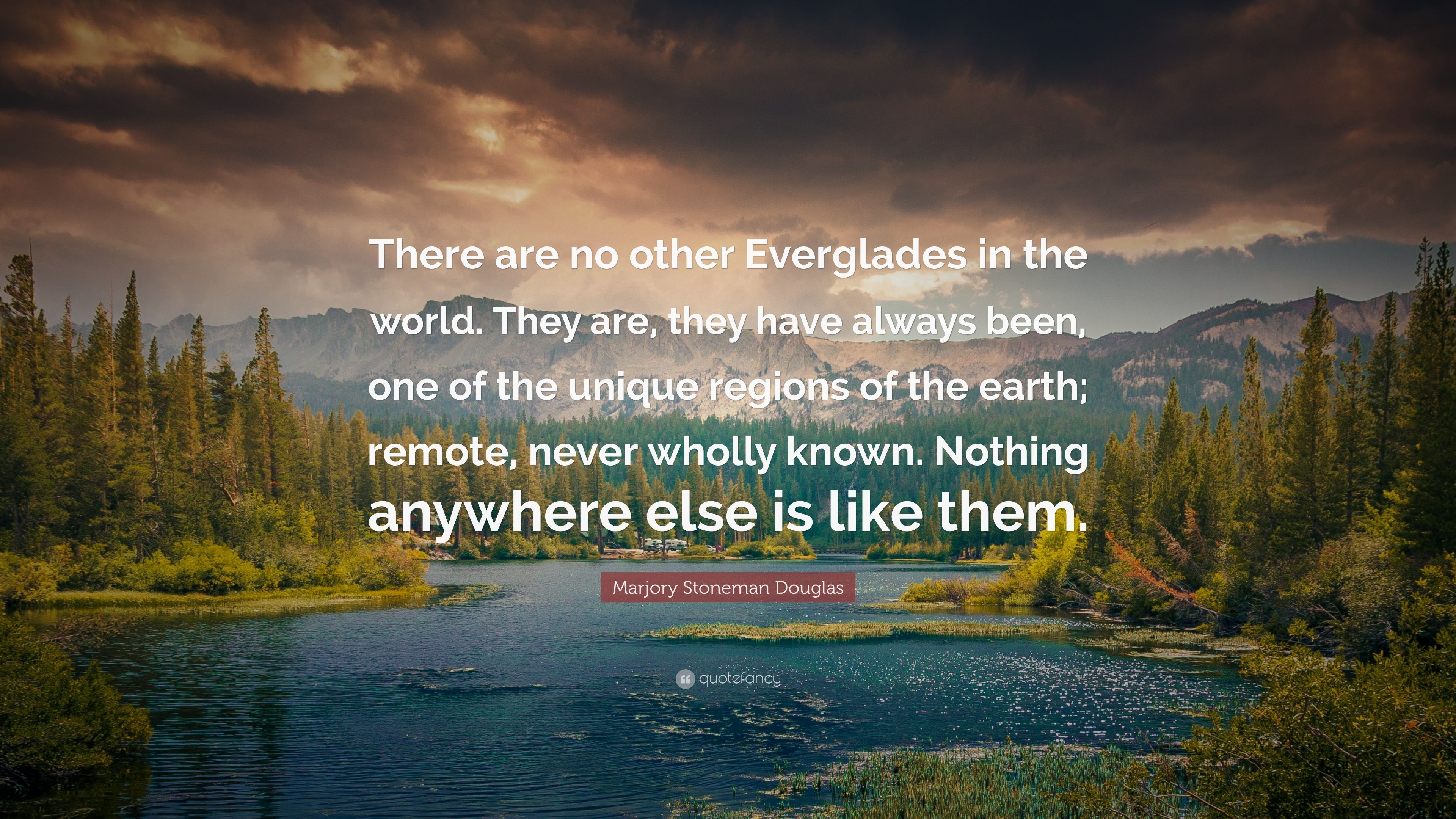 Marjory Stoneman Douglas Quote: “There are no other Everglades in the world. They are, they have always been, one of the unique regions of the earth; rem.” (7 wallpaper)
