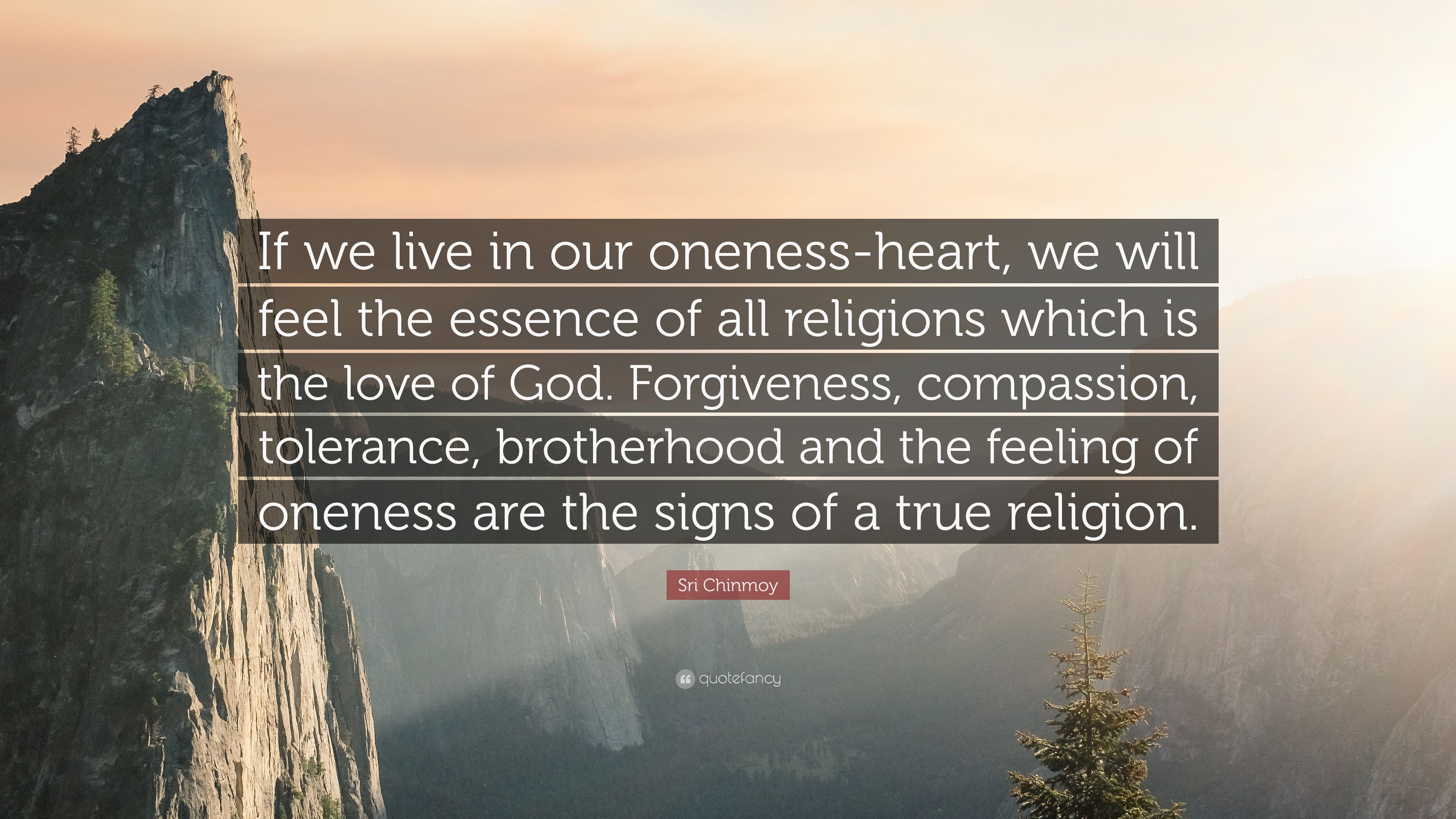 Sri Chinmoy Quote: “If We Live In Our Oneness Heart, We Will Feel The Essence Of All Religions Which Is The Love Of God. Forgiveness, Compas.” (7 Wallpaper)