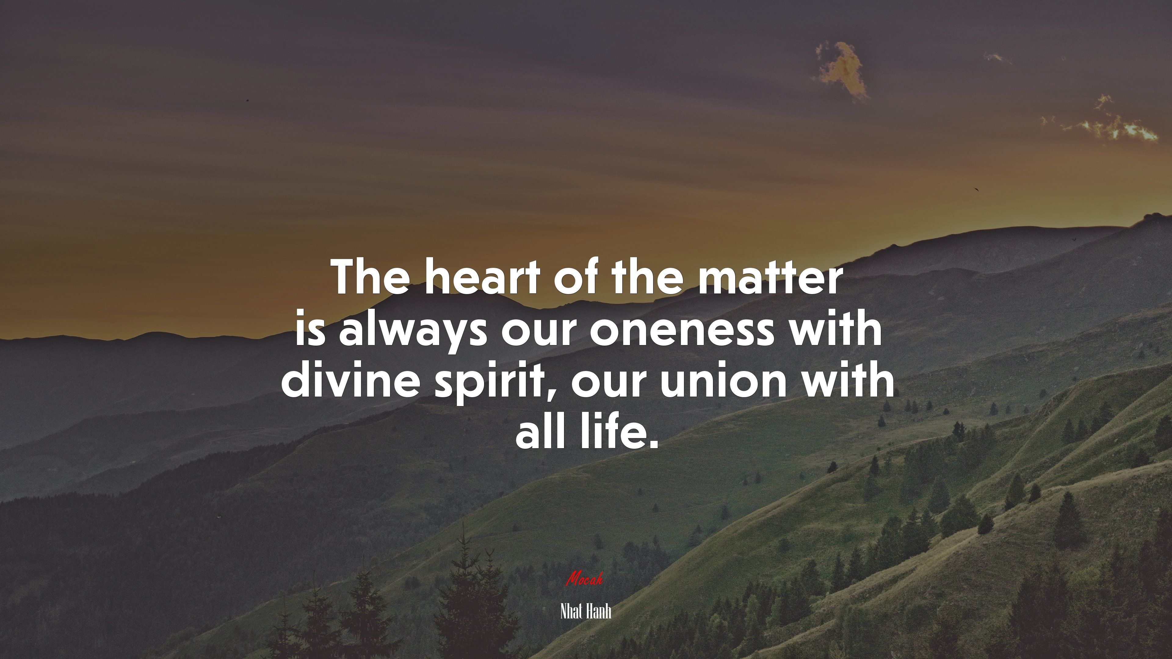 The heart of the matter is always our oneness with divine spirit, our union with all life. Nhat Hanh quote, 4k wallpaper. Mocah.org HD Desktop Wallpaper