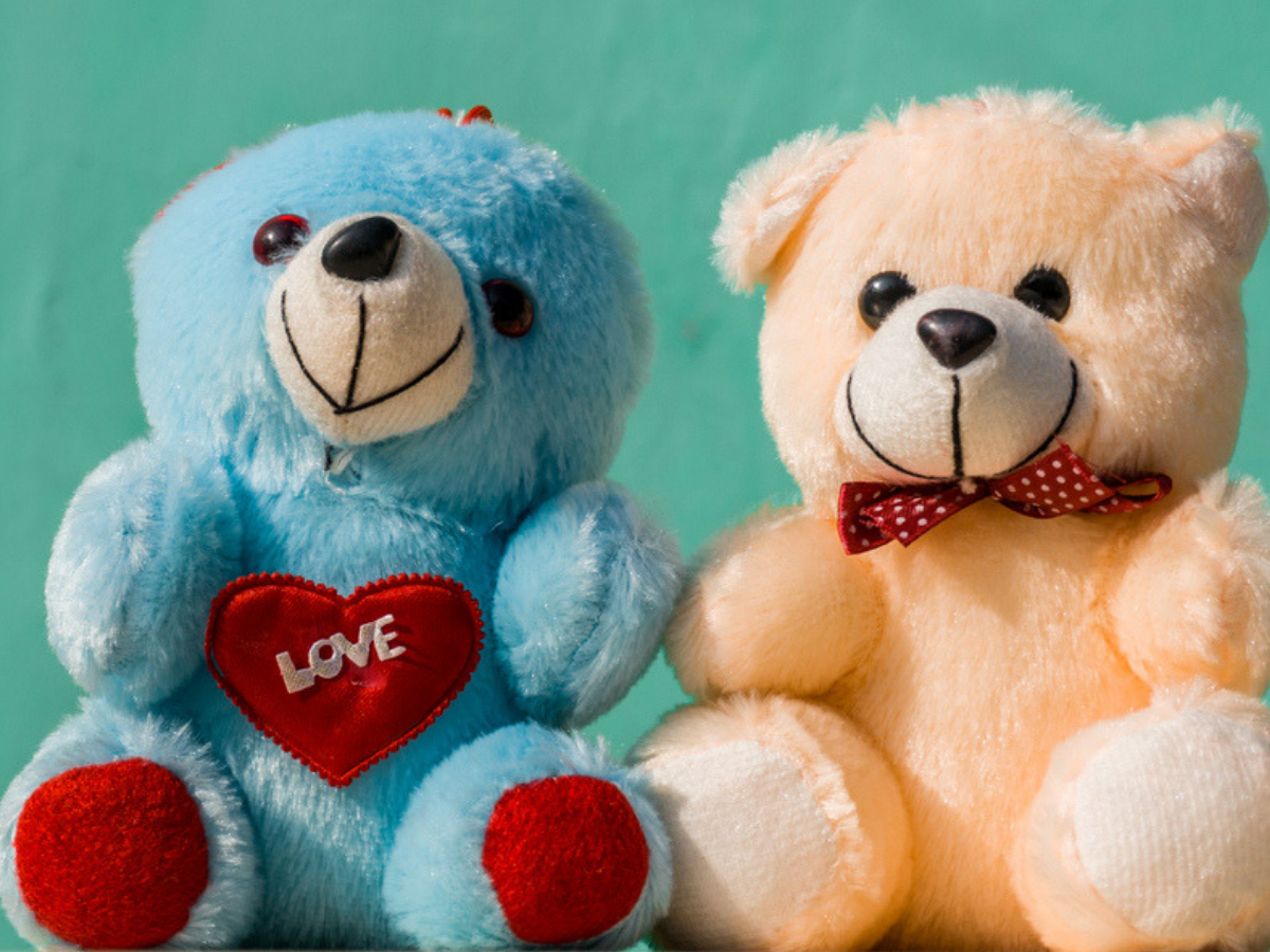 Valentine's Week: Happy Teddy Day 2020 .timesofindia.indiatimes.com