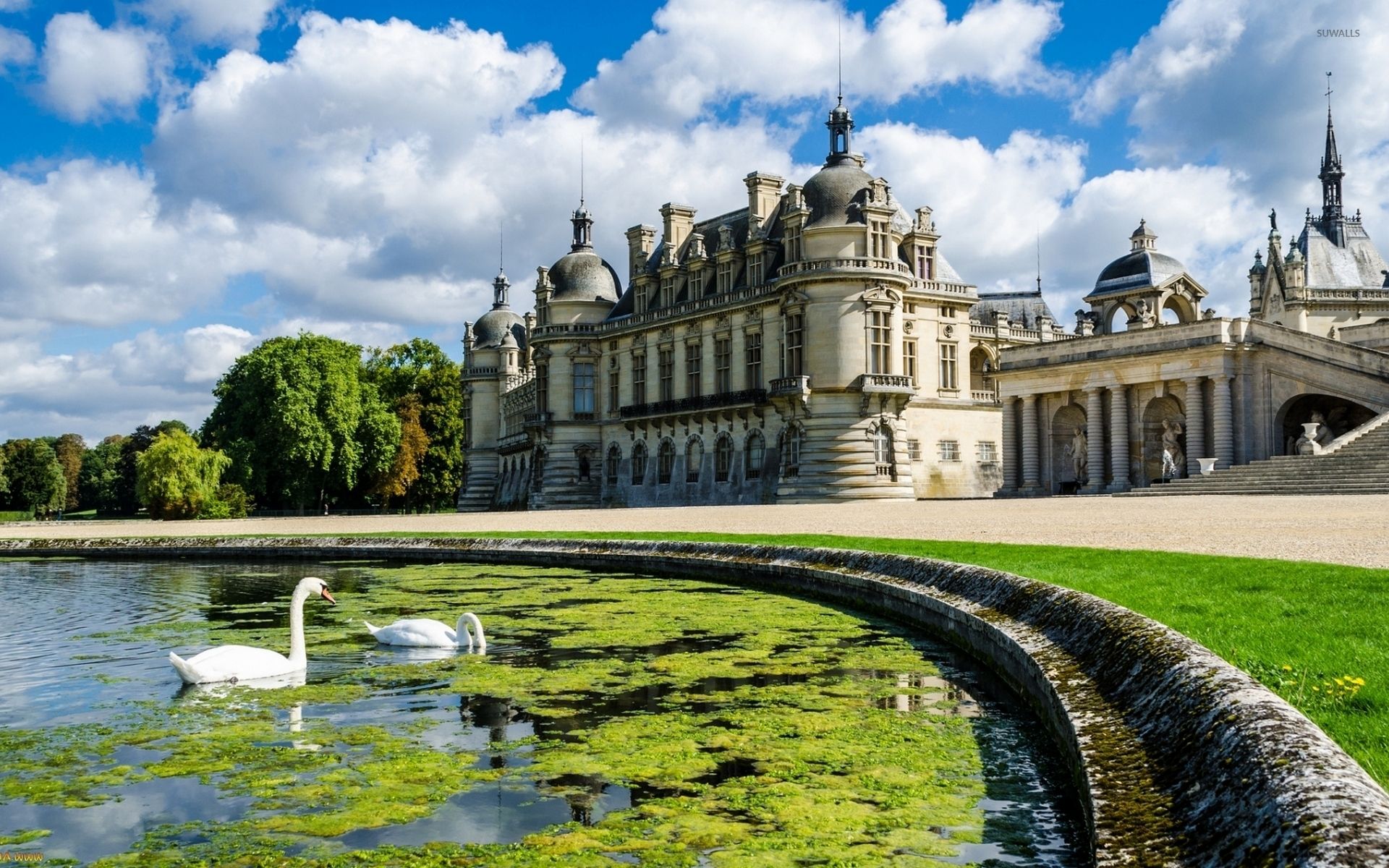 Swans in the lake by the Chateau de Chantilly wallpaper wallpaper