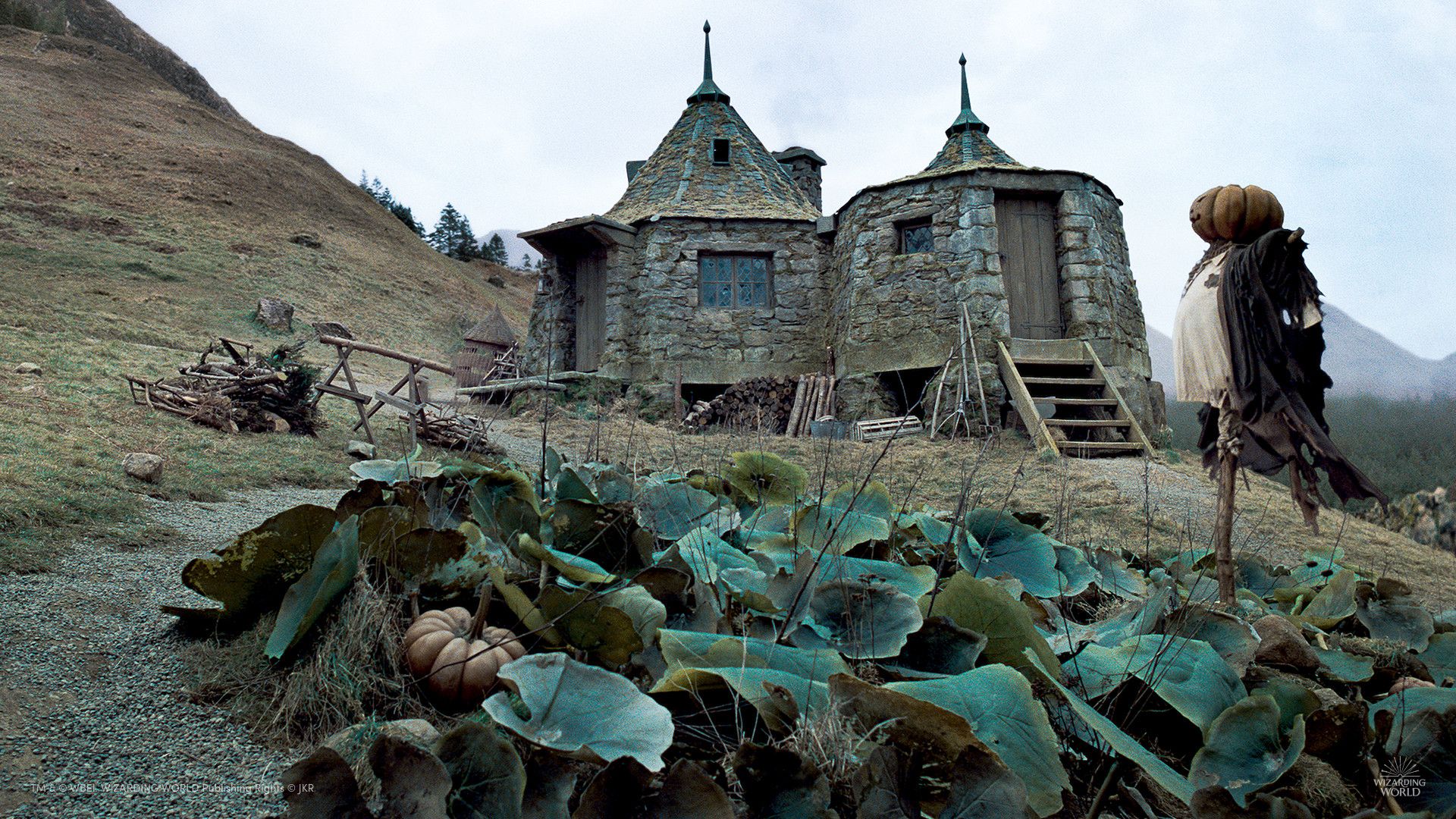 Try out our new Harry Potter themed video call background