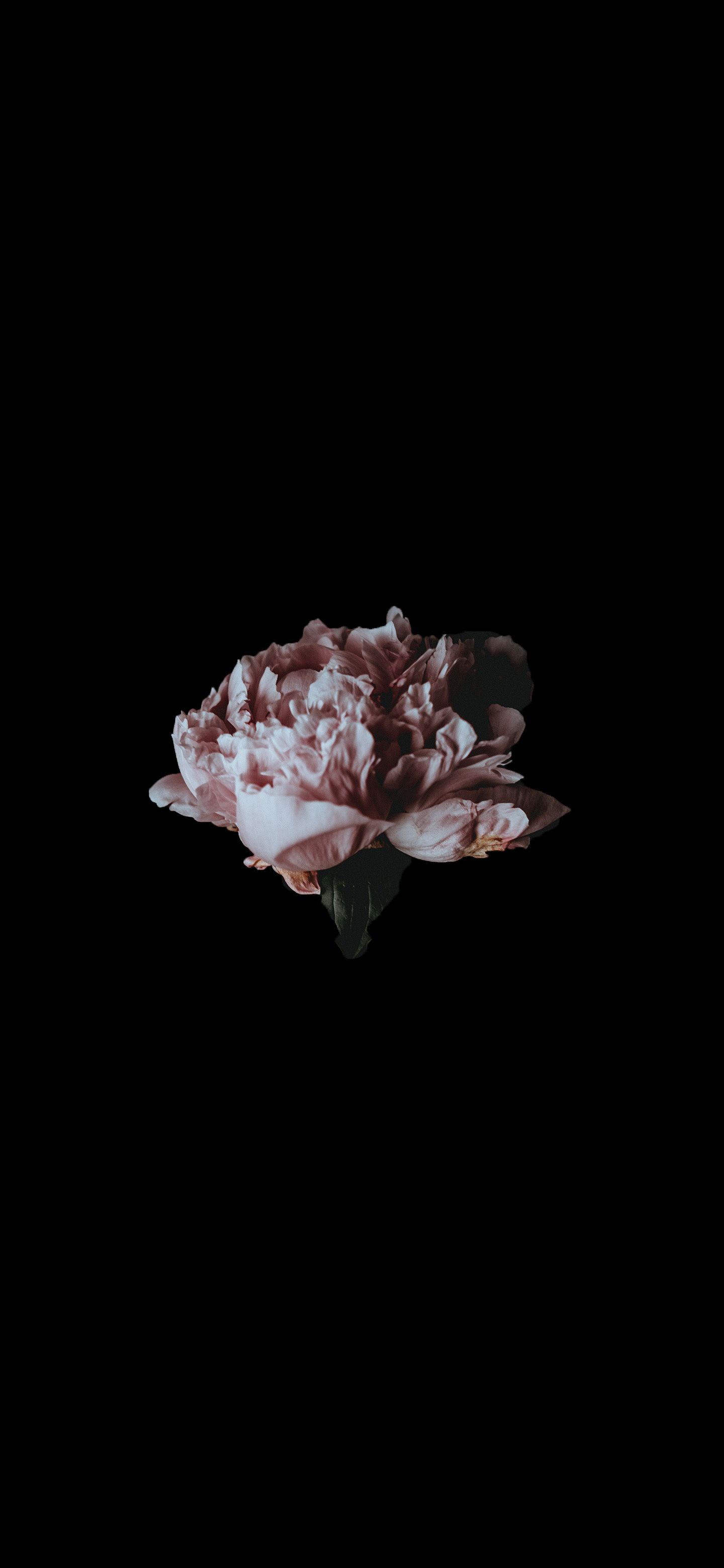 Amoled Black Flowers Wallpapers - Wallpaper Cave