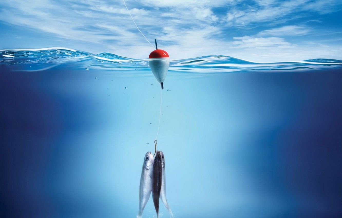 Wallpaper fishing, Water, fish, float image for desktop, section ситуации