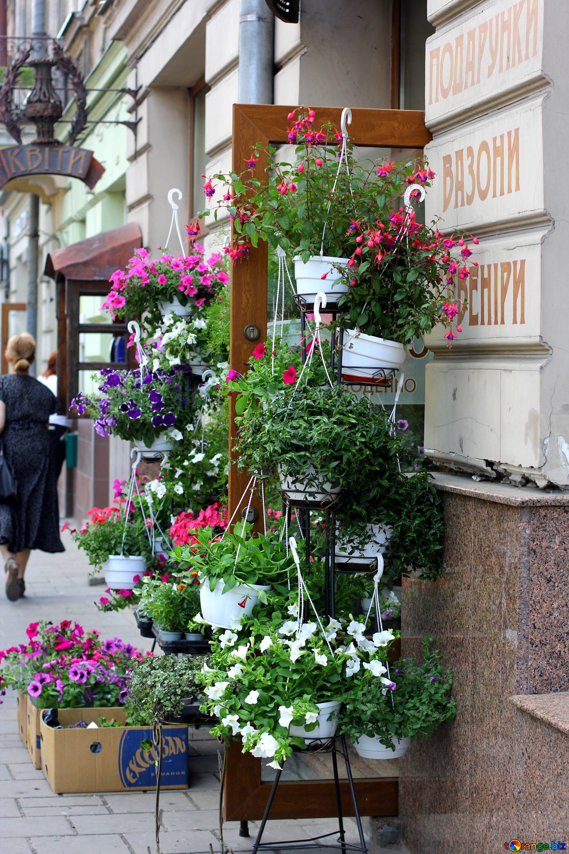Flowers creepers flowers hanging on a shelf pots door street plants summer № 51779