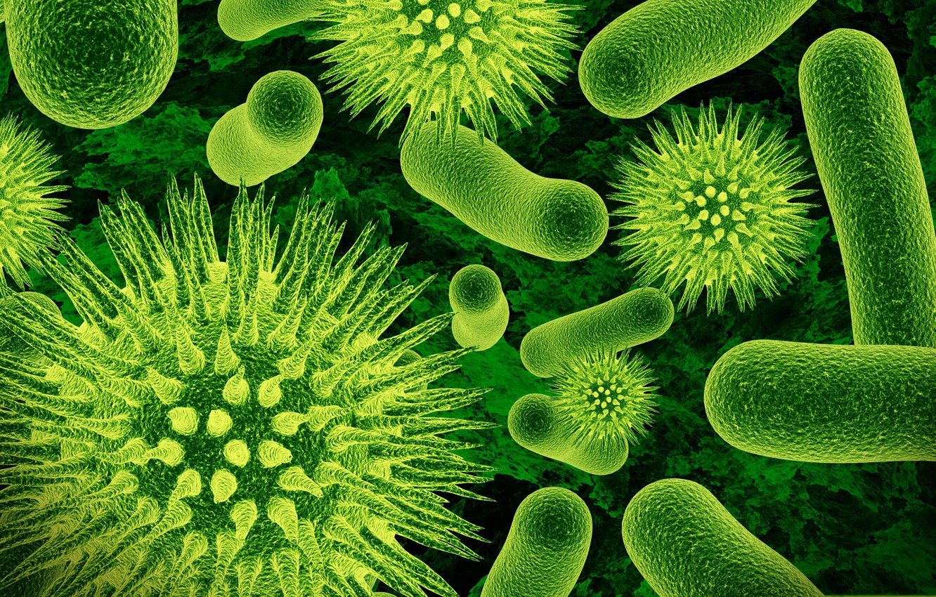 Wallpaper biology, increase, bacteria, microorganisms image for desktop, section макро