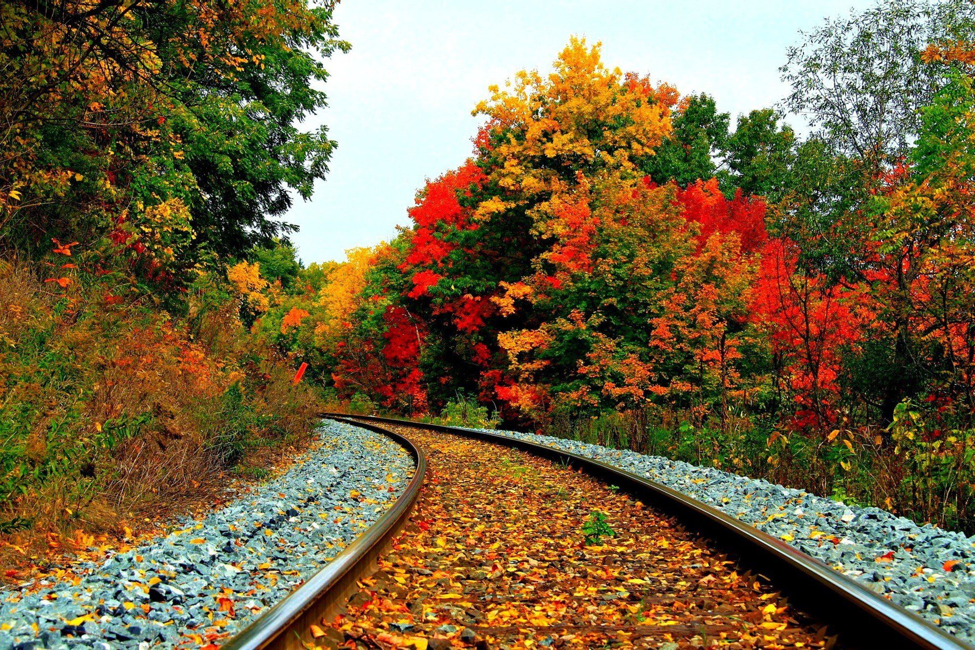 autumn, Fall, Landscape, Nature, Tree, Forest, Leaf, Leaves, Path, Trail, Train, Tracks Wallpaper HD / Desktop and Mobile Background