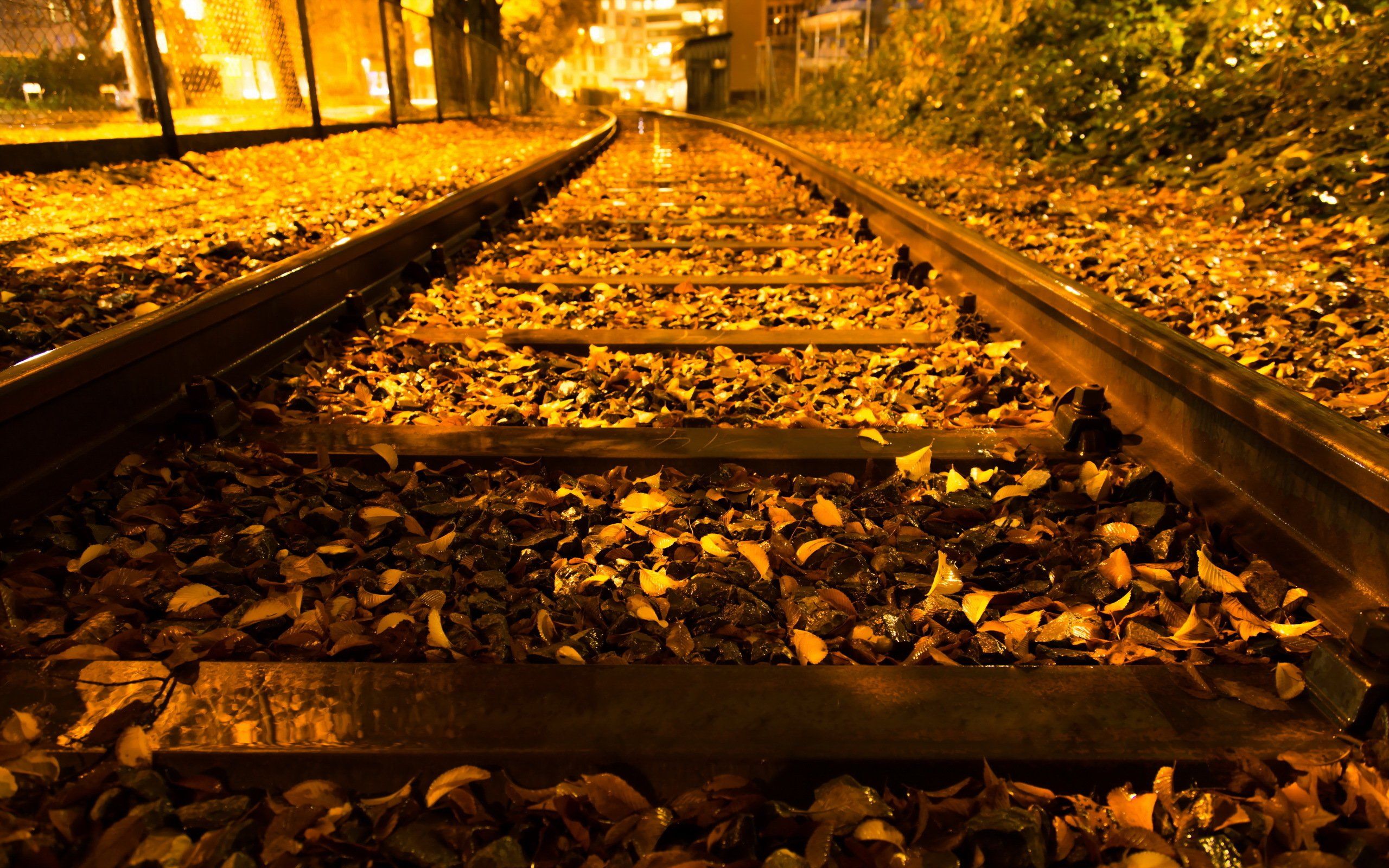 autumn, Trees, Nature, Landscape, Leaf, Leaves, Railroad, Train, Tracks Wallpaper HD / Desktop and Mobile Background