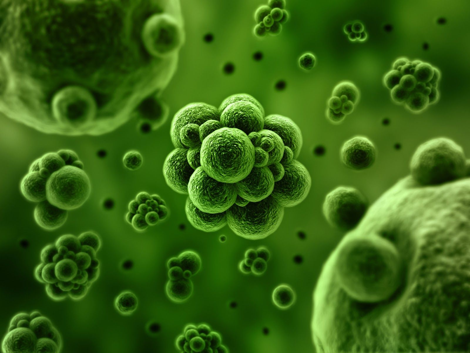 Microbes Wallpaper Free Microbes Background