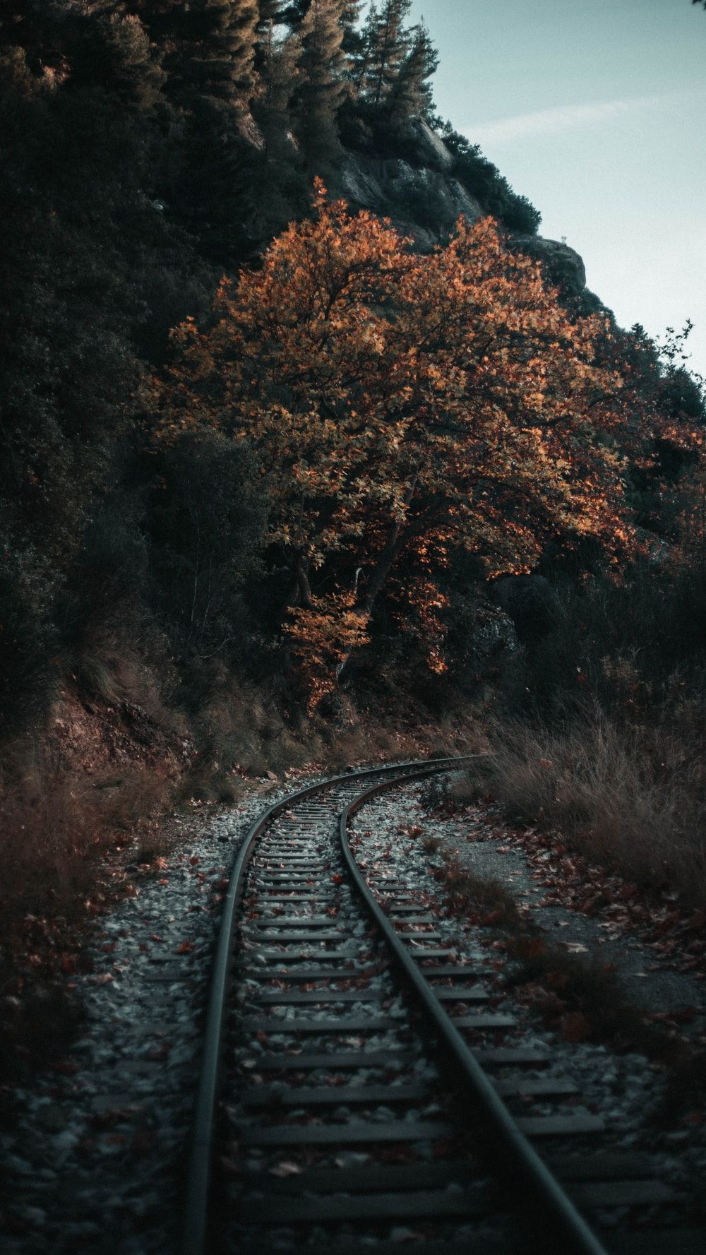 empty train track by tree and mountains photo