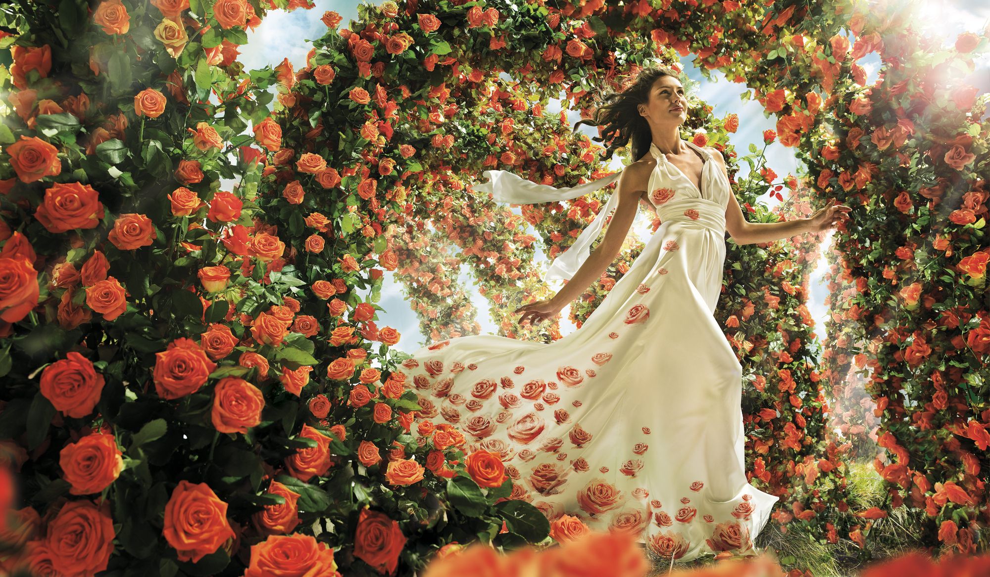Picture rose young woman flower Many Dress 2000x1167