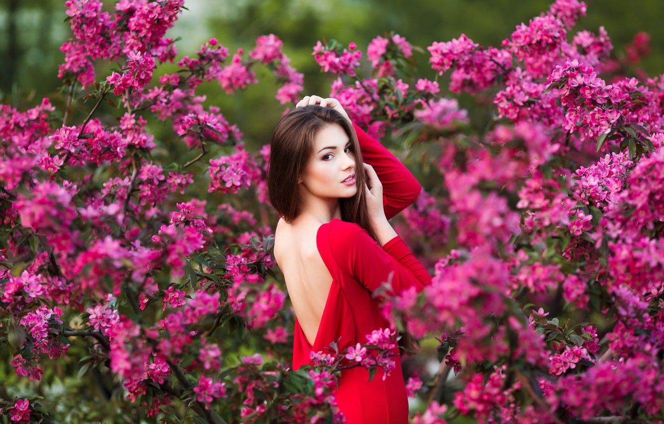 Wallpaper girl, flowers, makeup, garden, dress, hairstyle, brown hair, beautiful, in red, the bushes, posing image for desktop, section девушки