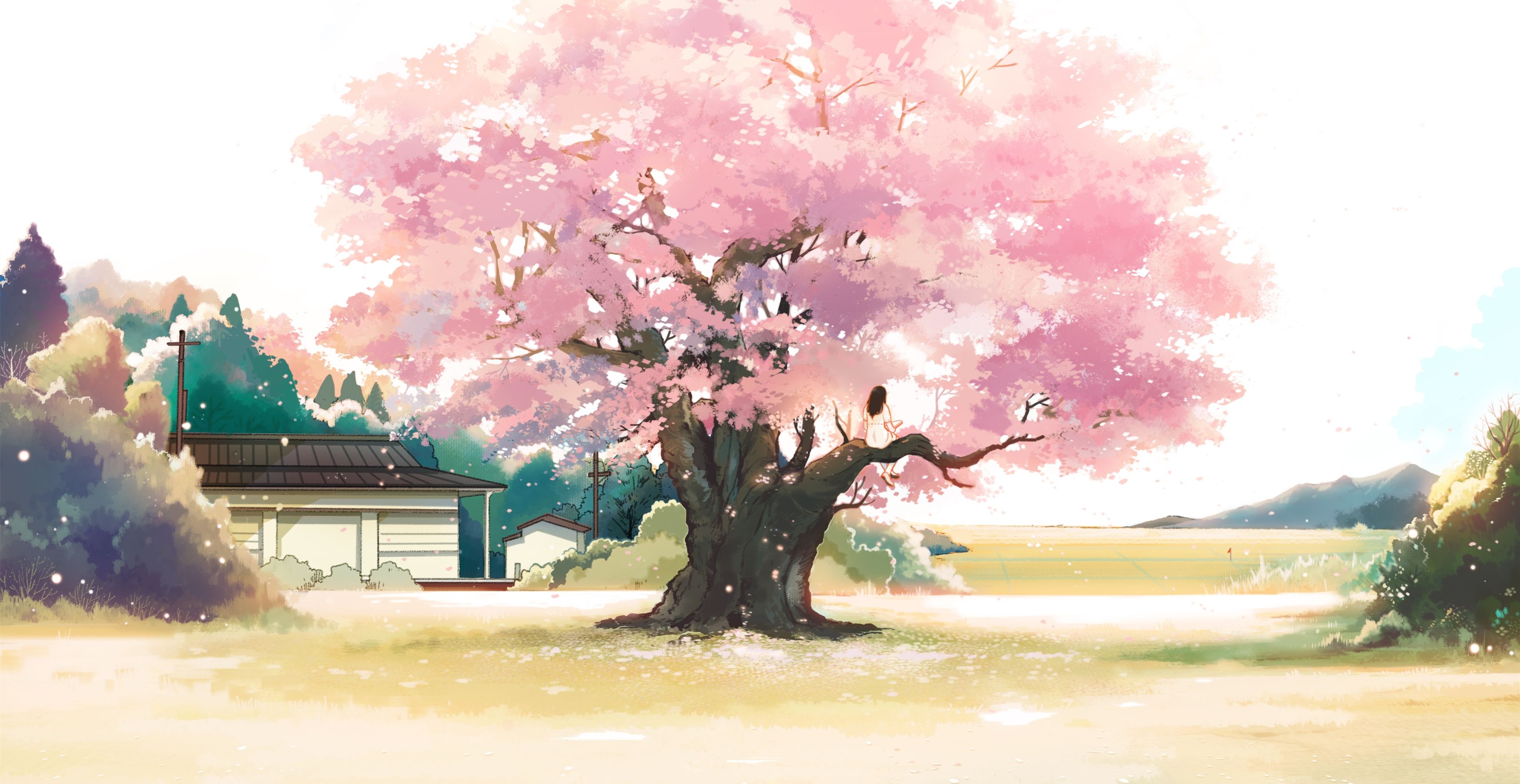 Download 3424x1766 Anime Landscape, Girl, Cherry Blossom, Pink Leaves, Tree, Scenic Wallpaper