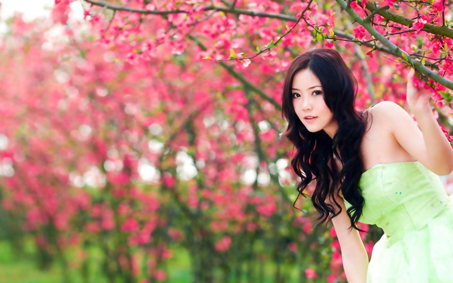 A Full Eye of Red Flowers, Yet the Girl in Green Dress is Still More Attractive, She is a Natural Beauty