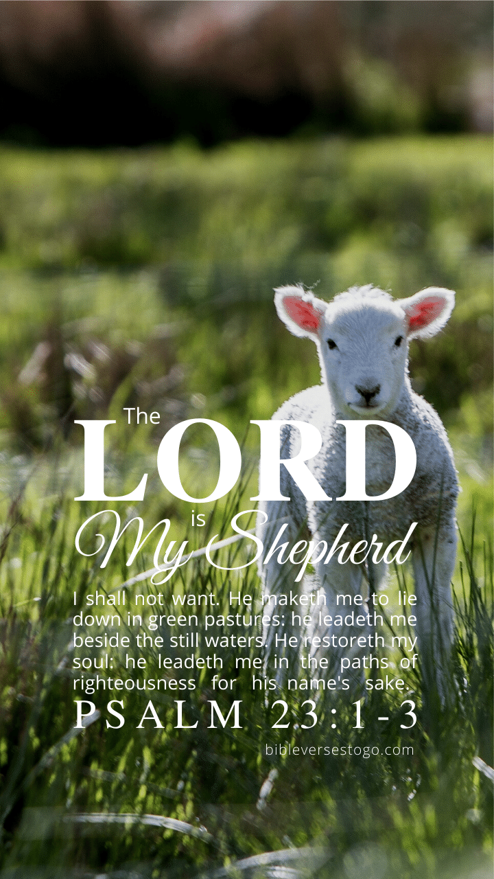 Lamb Psalm 23:1 3 Verses To Go