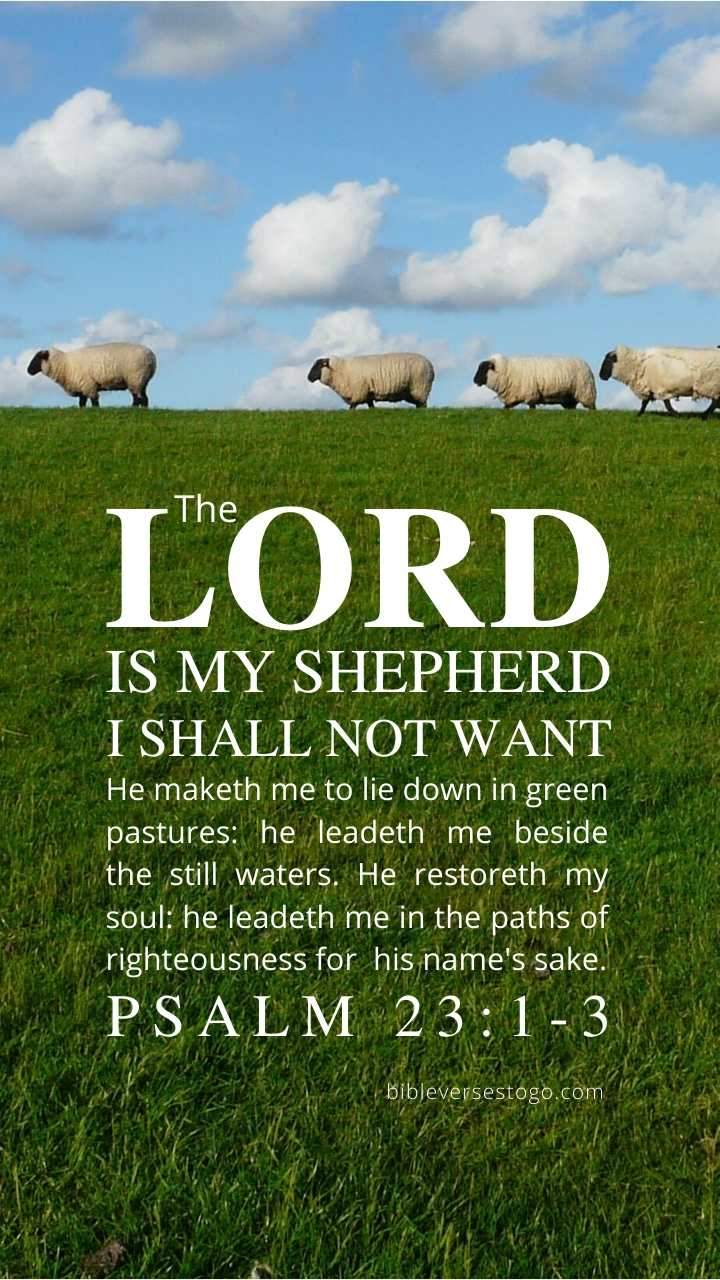 Sheep Psalm 23:1 3 Phone Wallpaper Verses To Go