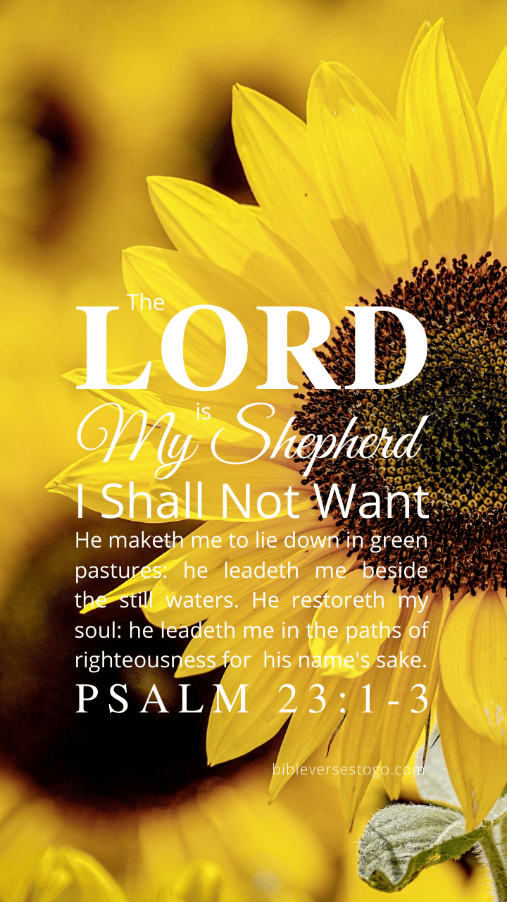 Sunflower Psalm 23:1 3 Verses To Go