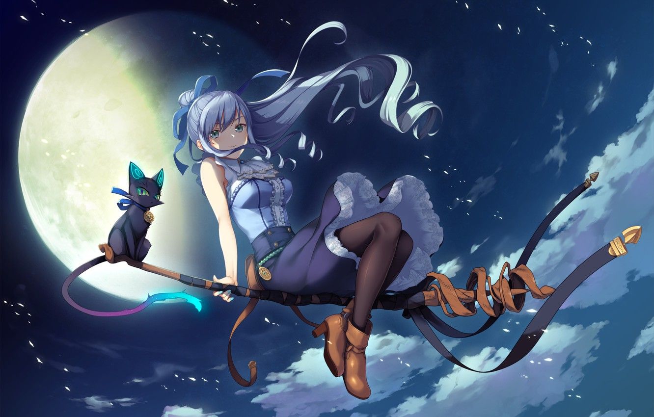 Wallpaper cat, girl, night, the moon, witch, broom, anime, games art, Deep One image for desktop, section игры